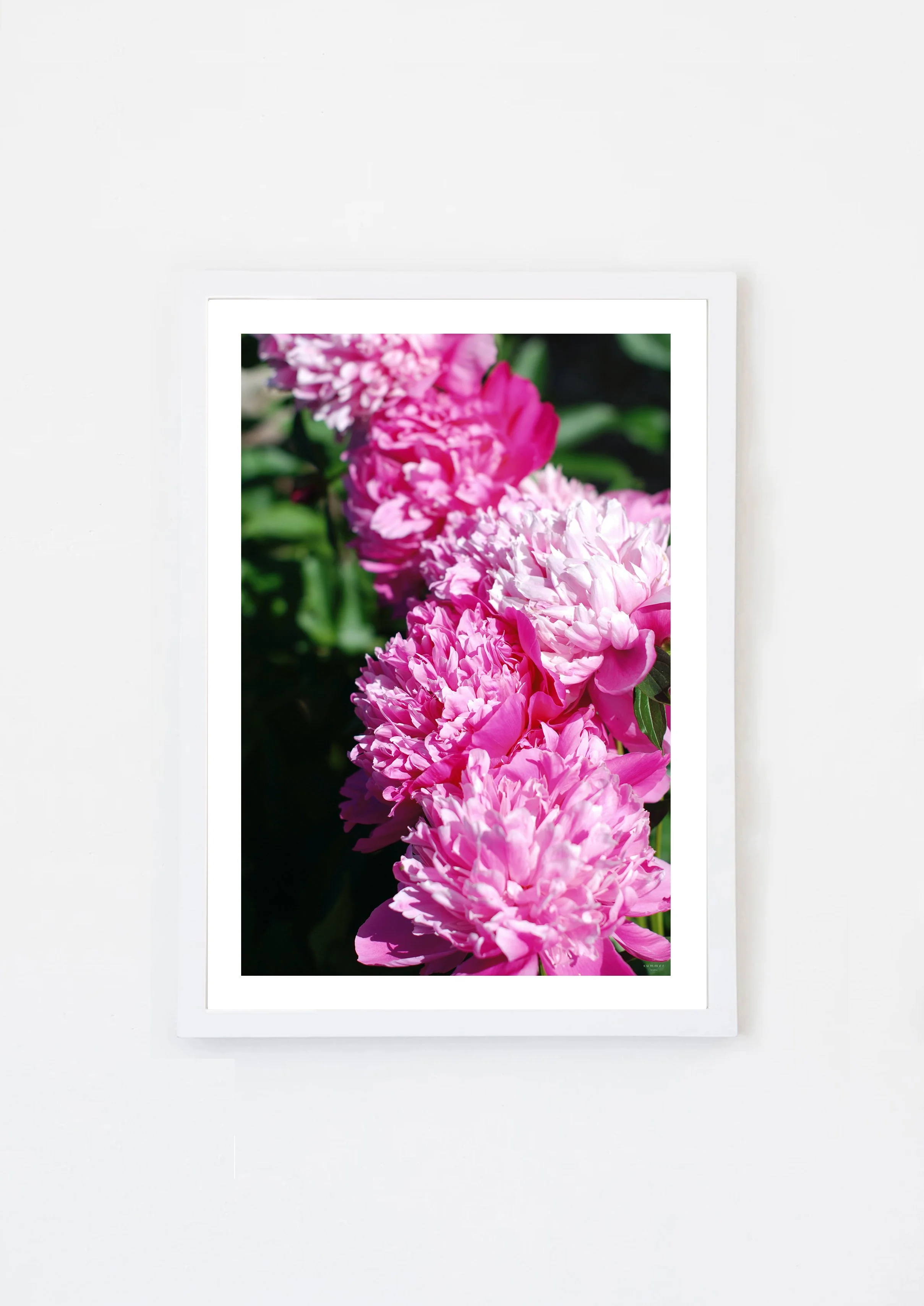 peony3withframe.jpg
