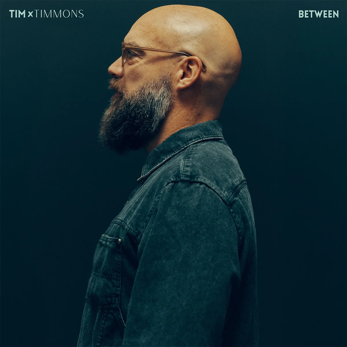 TT-Between-EP-Cover.jpg