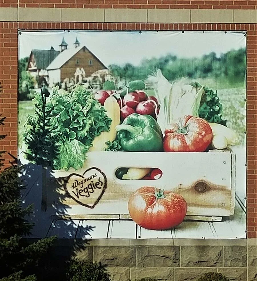 WEG.  CHS.jpg