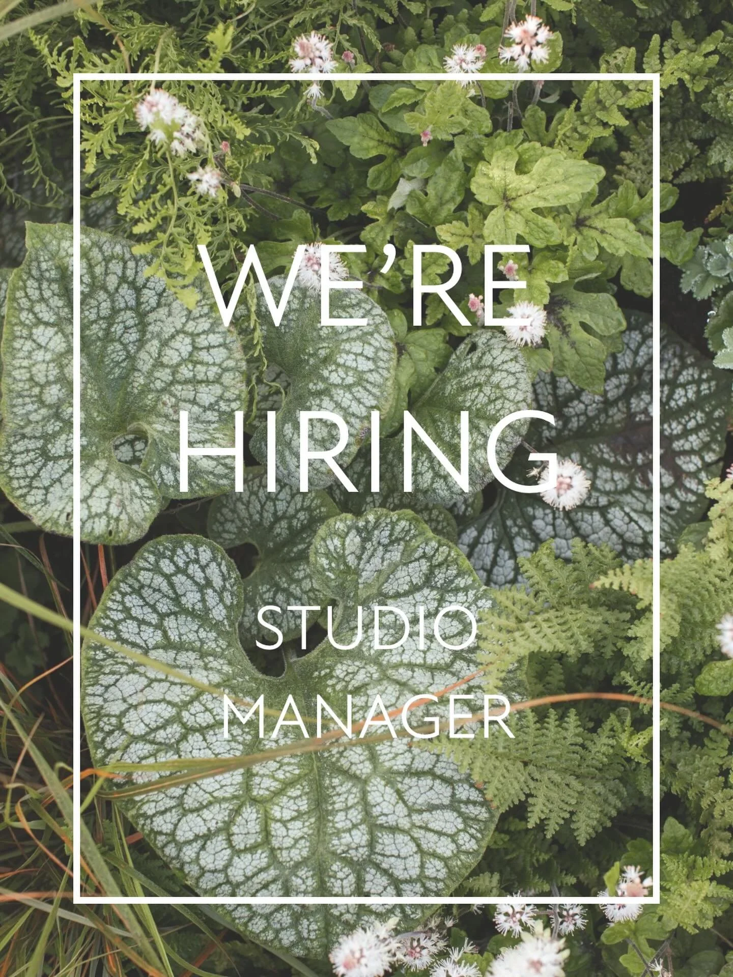 W e &lsquo; r e  G r o w i n g  o u r  S t u d i o 

We&rsquo;re looking for an organised, proactive and personable Studio Manager/Coordinator to join Rob Hardy &amp; Co, supporting the smooth running of our garden design practice and the delivery of