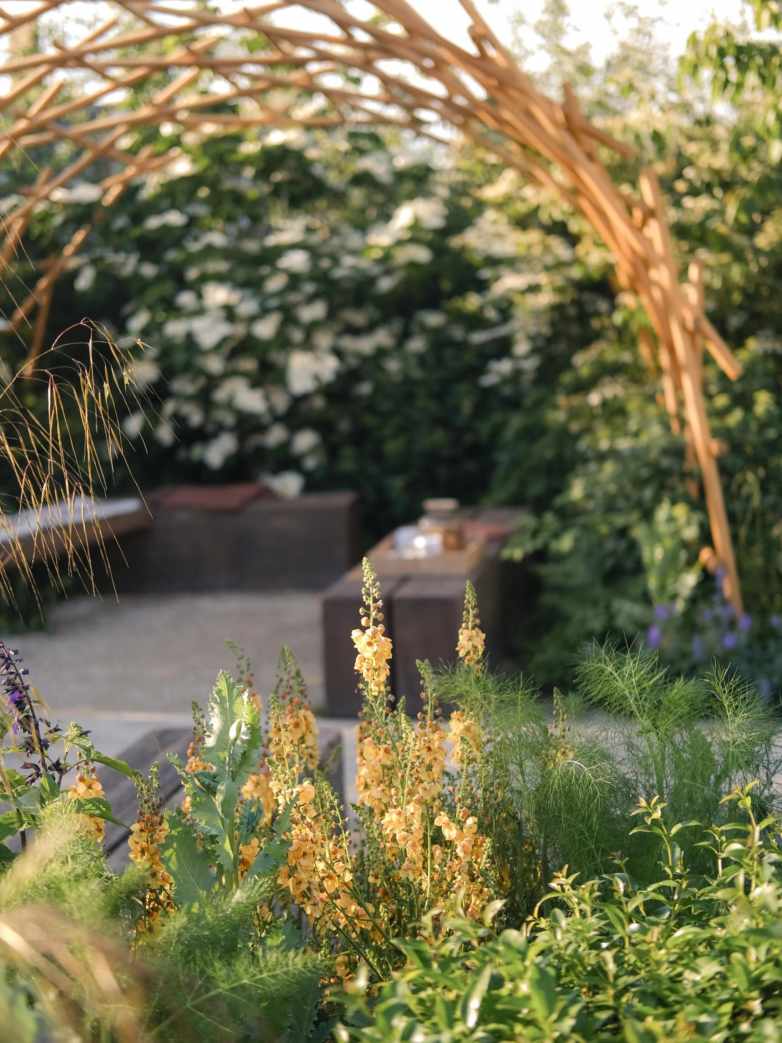 C h e l s e a  2 0 2 6

It&rsquo;s fair to say this week has far exceeded anything we imagined.

Sharing our garden at the @the_rhs Chelsea Flower Show has been a real joy and privilege, and we&rsquo;ve been so grateful for the kindness, encouragemen