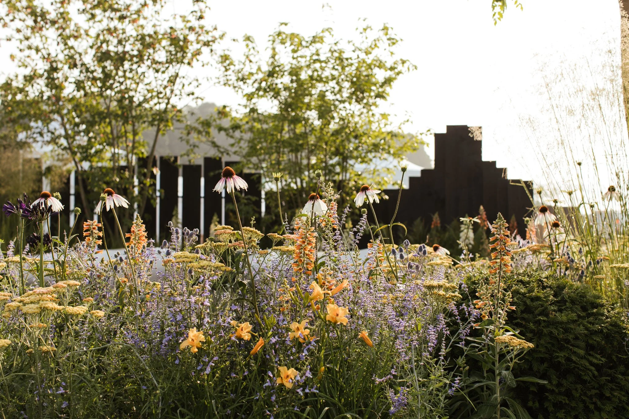 RHS-Tatton_Rob-Hardy_Macmillan_Joanne-Crawford-94.jpg