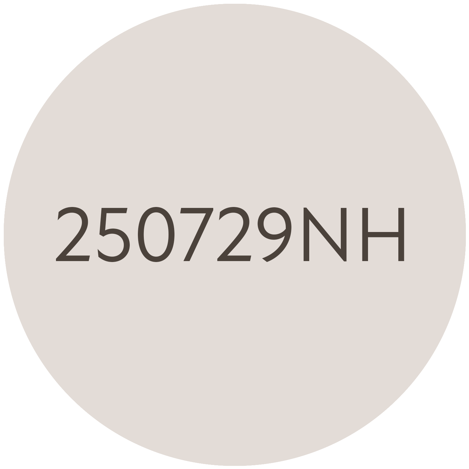 250729NH