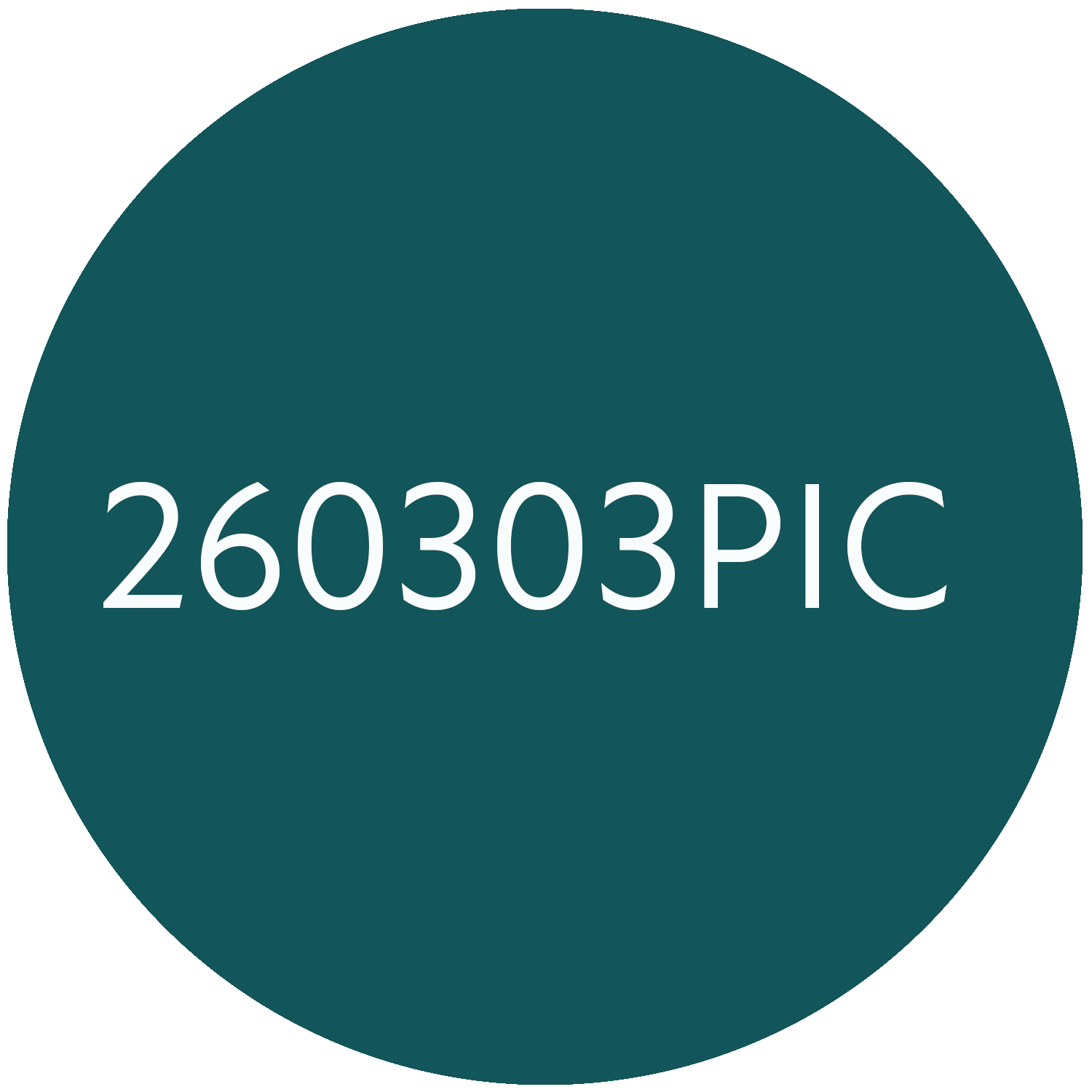 260303PIC