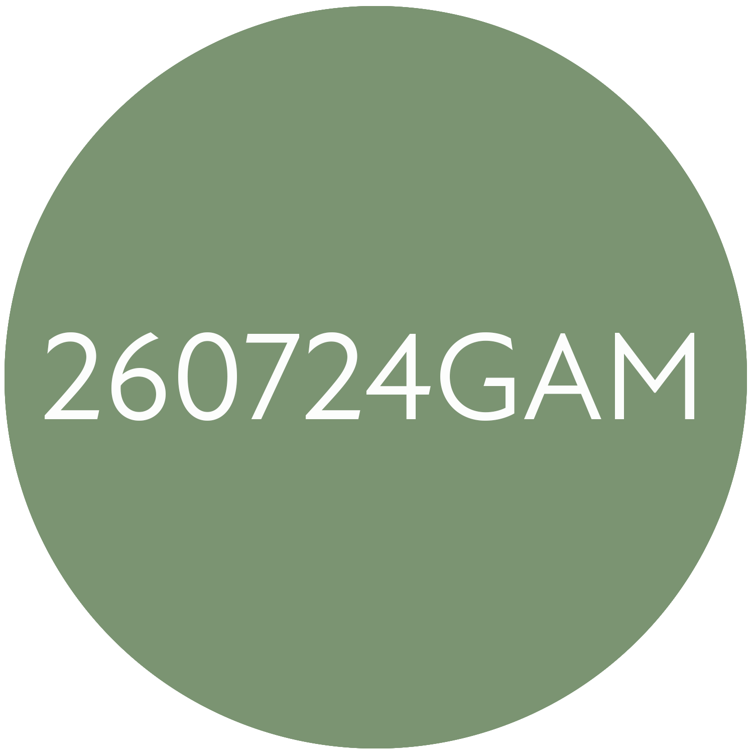 260724GAM.png