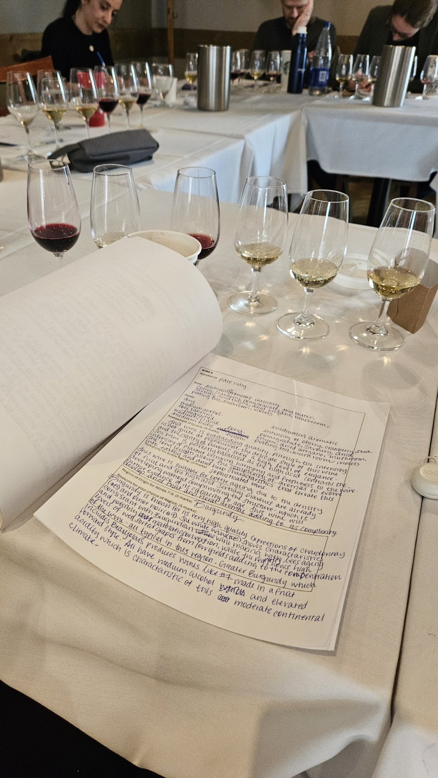 How to Pass the WSET Diploma Tasting Exams + 2 free resources.