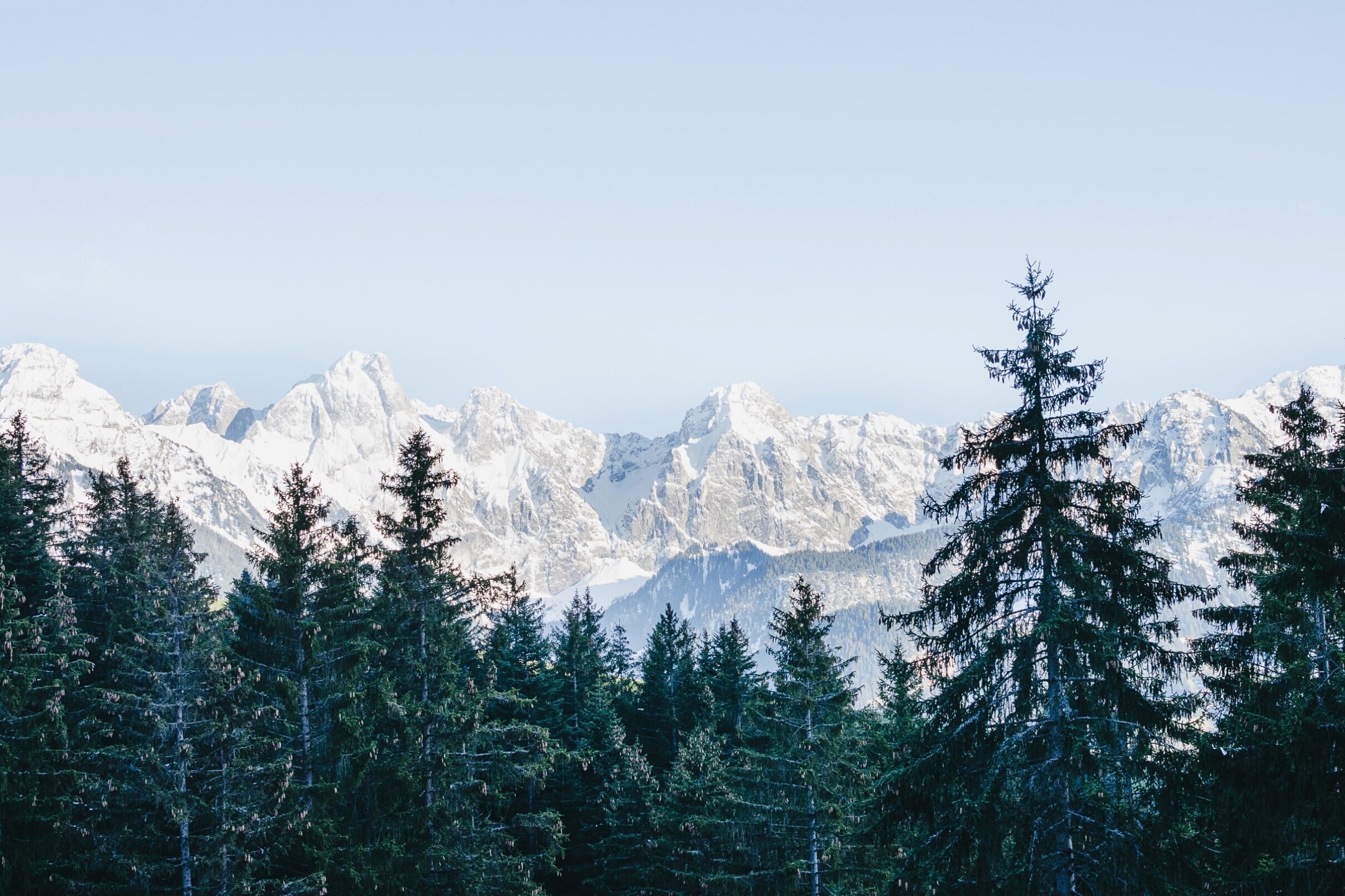 Swiss_alps_winter_view.jpg