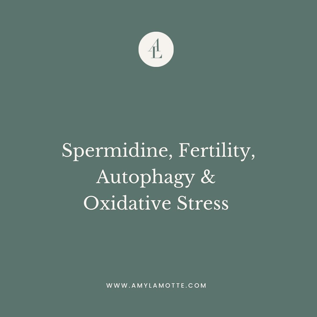A new study highlights the relationship between spermidine, fertility, autophagy, and oxidative stress. 

Read the full article on my website; link in bio.

#autophagy #spermidine #polyamines #fertility #oxidativestress #reproductivehealth #healthspa