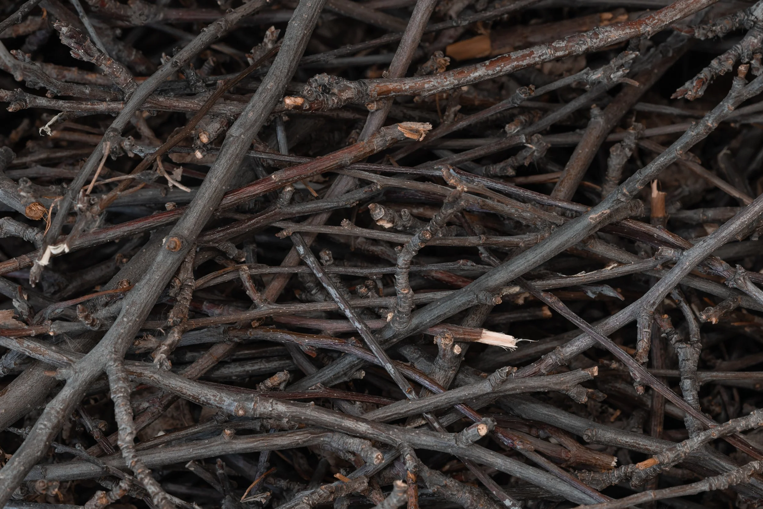 The Short End Of The Stick