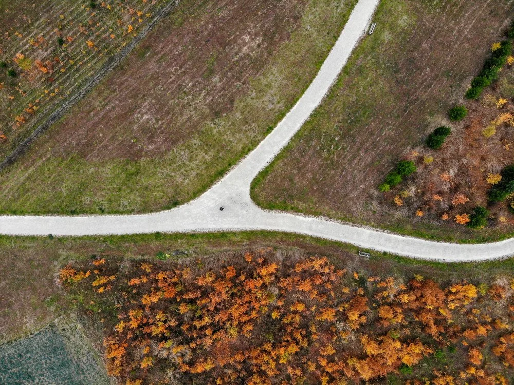 The Fork In The Road