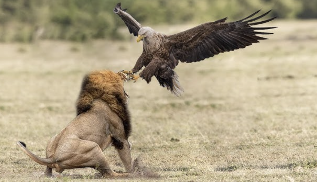 Living Off Your Reputation