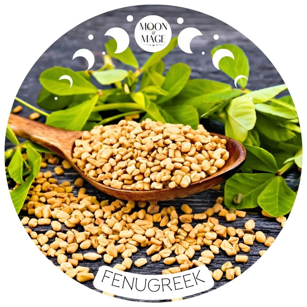 FENUGREEK MAGICKAL PROPERTIES FOR SPELLS & WITCHCRAFT