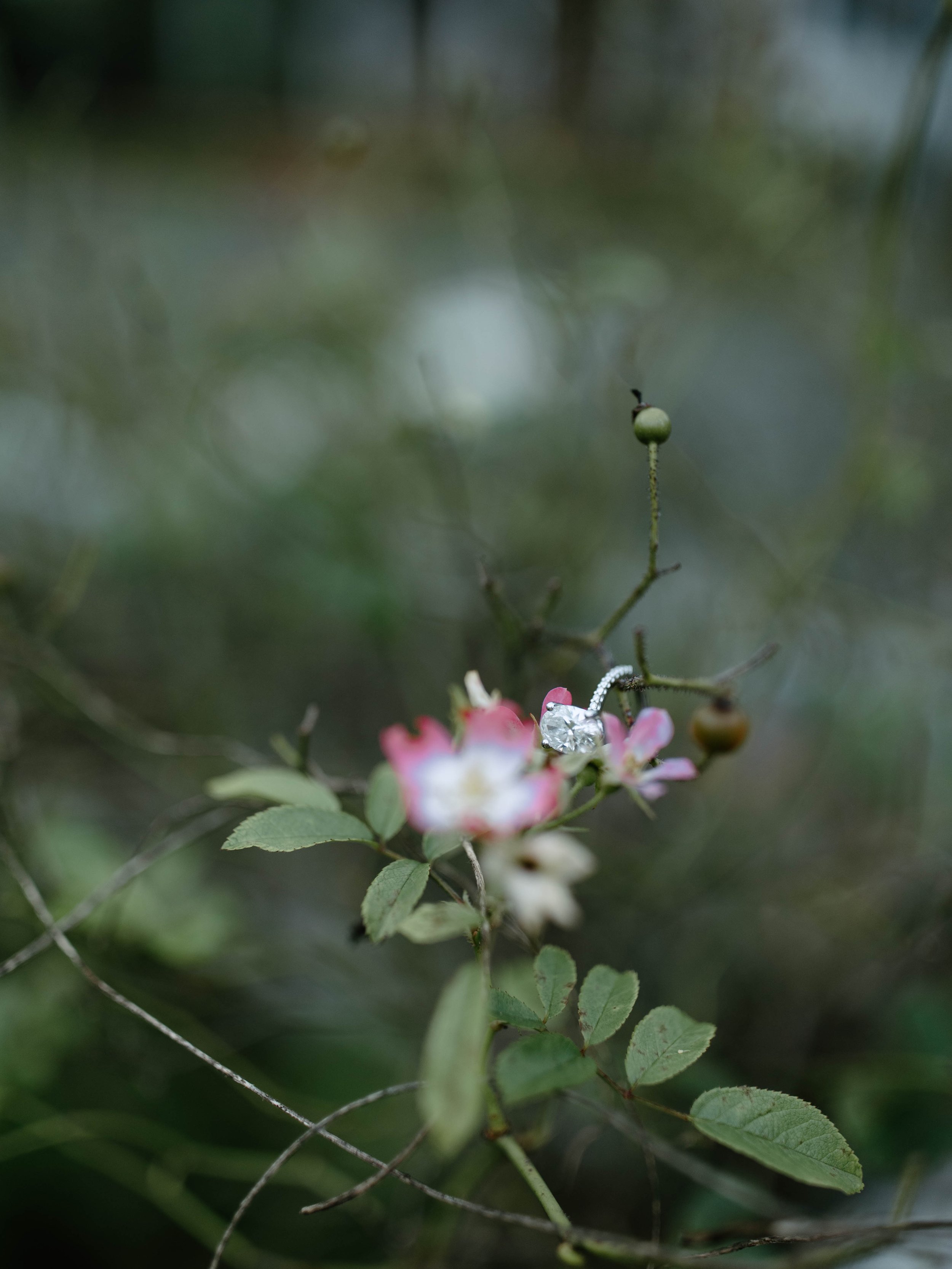 805A6814.jpg