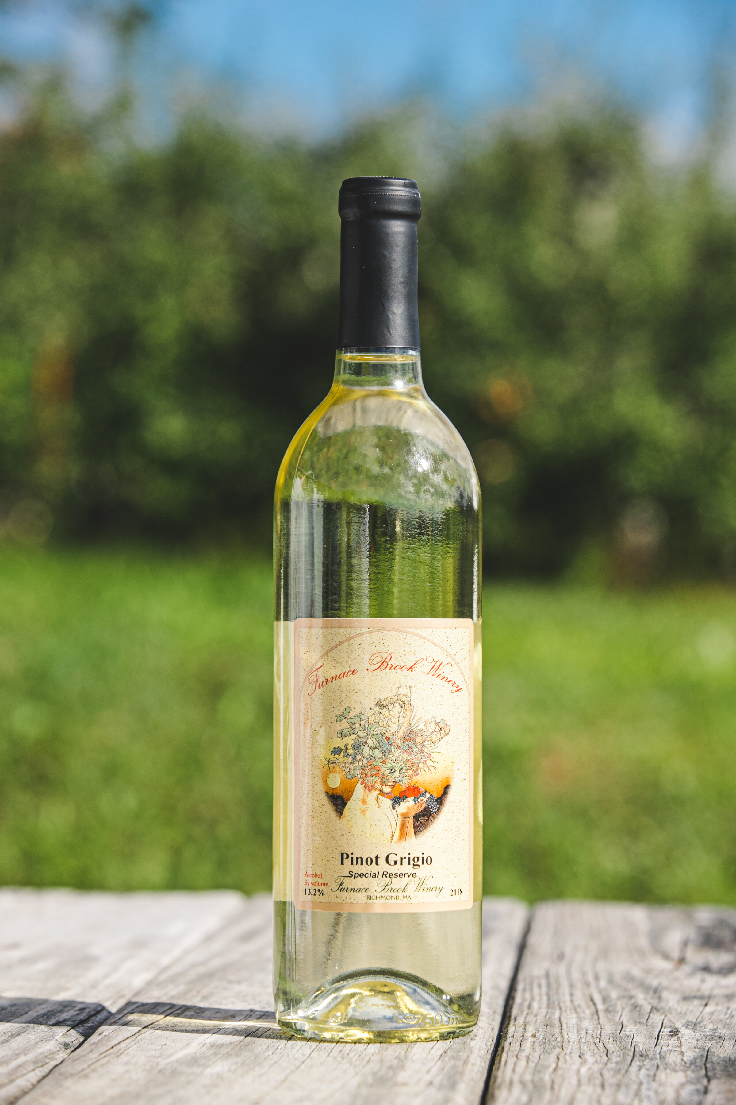 Hilltop Orchard Pino Grigio for wine tasting