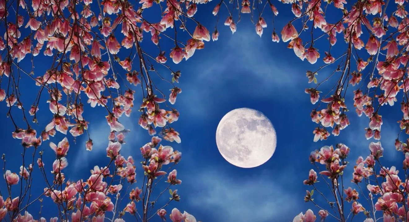 Flower Full Moon Hike