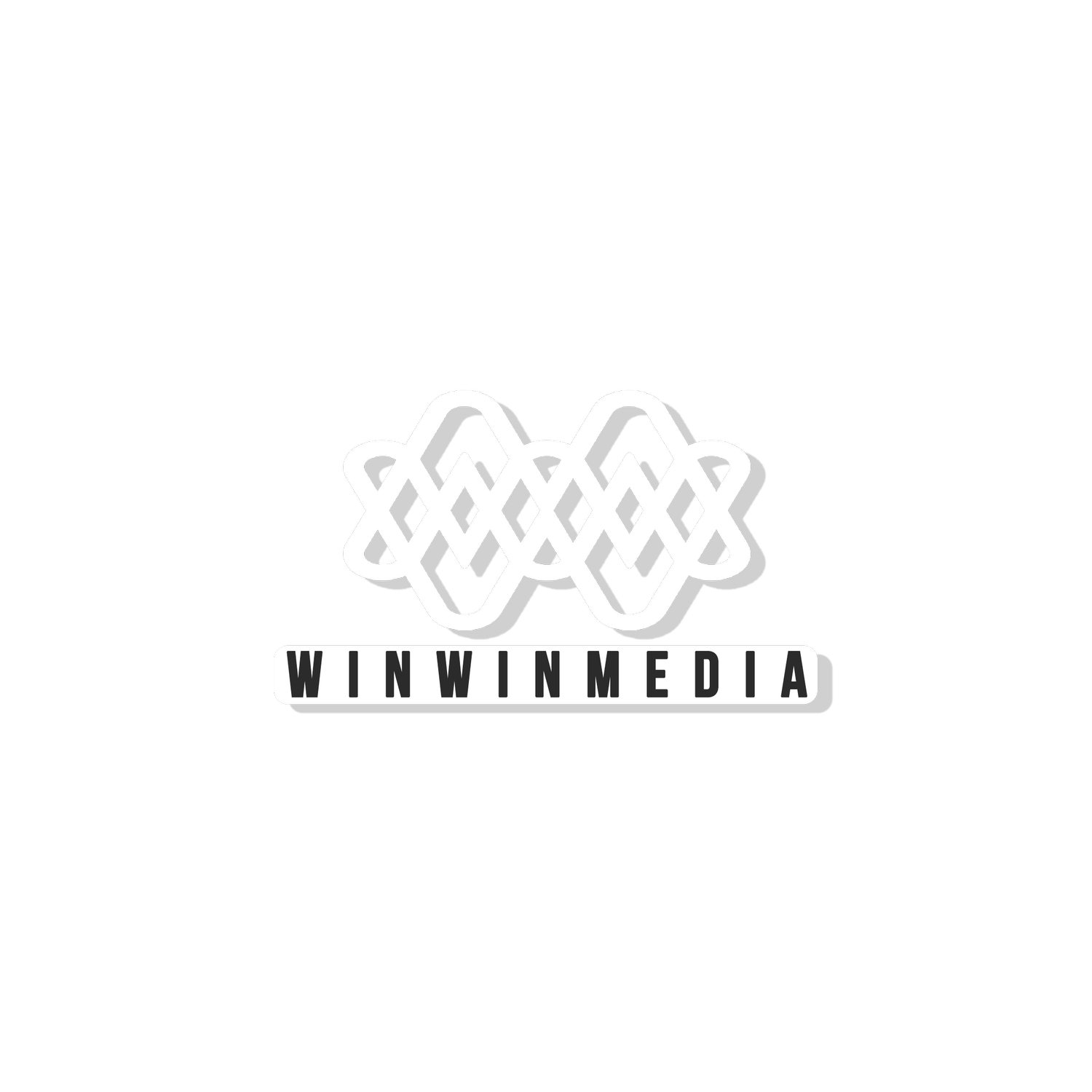 WINWINMEDIA