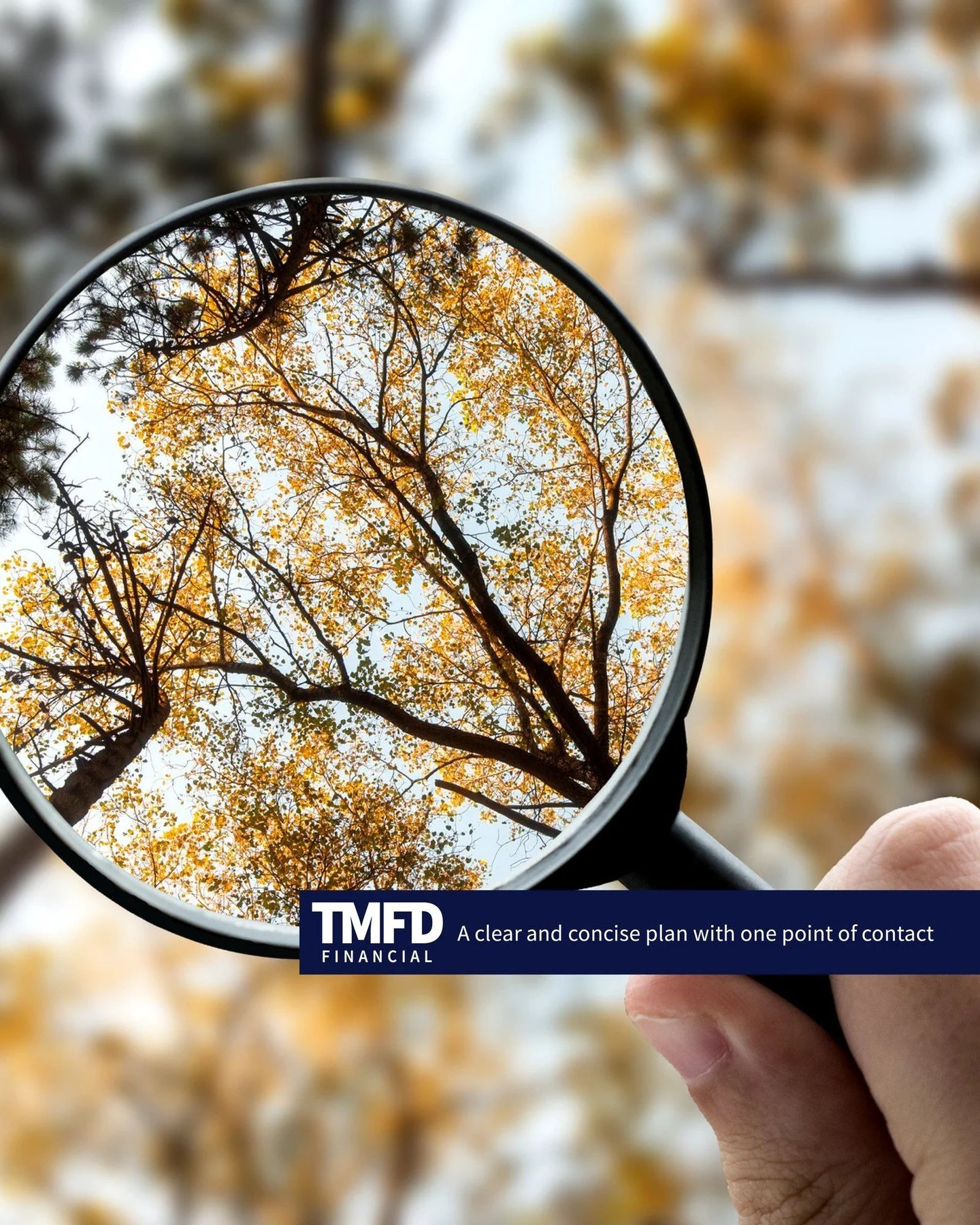 TMFD Financial helps dentists see what others might miss. 

With one point of contact, fully integrated services, and a focused plan, you gain the clarity and confidence to make informed decisions about your future. 

Get started today with one of ou