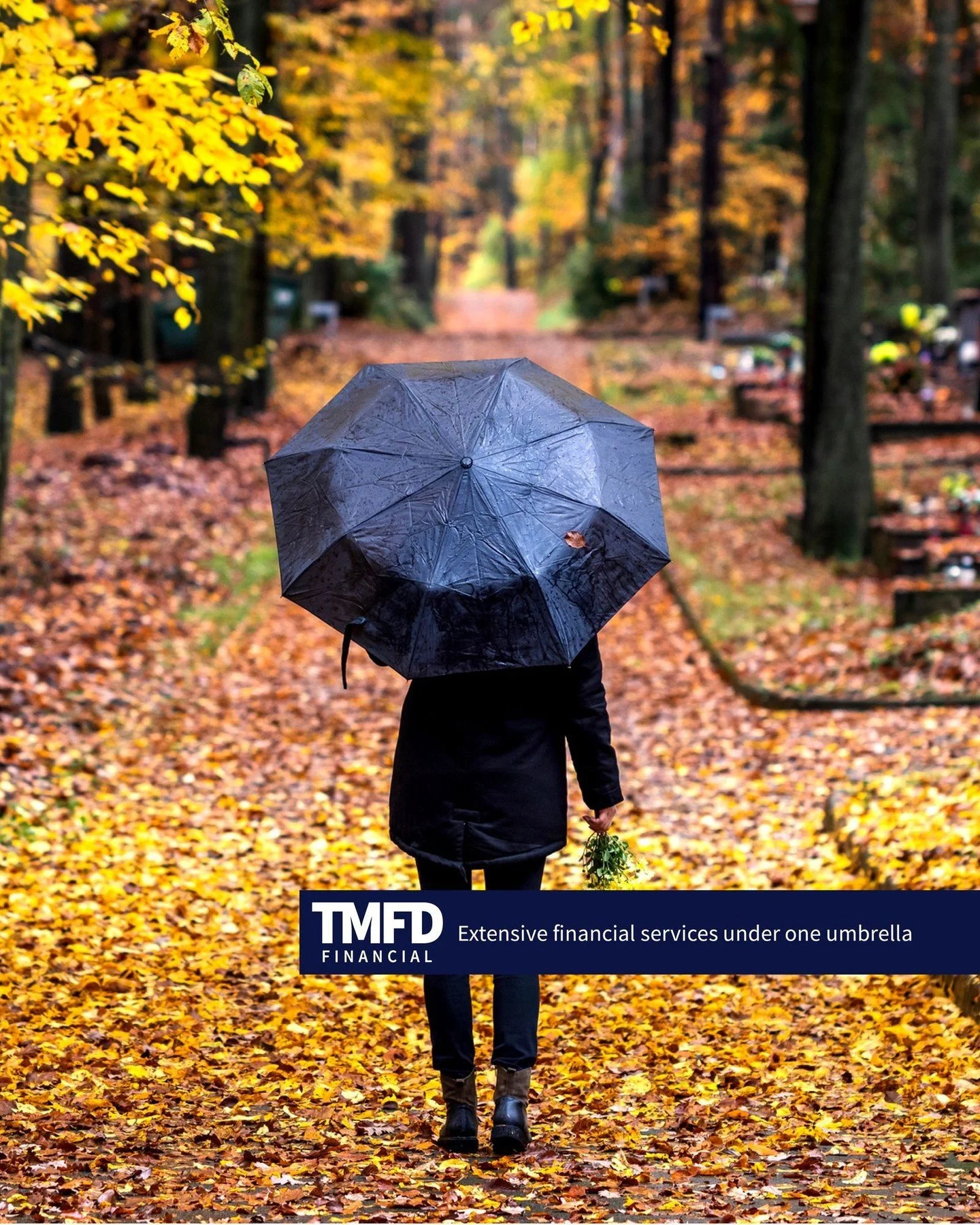 Rain or shine, it pays to have everything under one umbrella. ☂️

With TMFD Financial, your accounting, tax, and planning work together &mdash; helping you see the full picture, build long-term wealth, and focus on what you do best: dentistry. 🦷
.
.