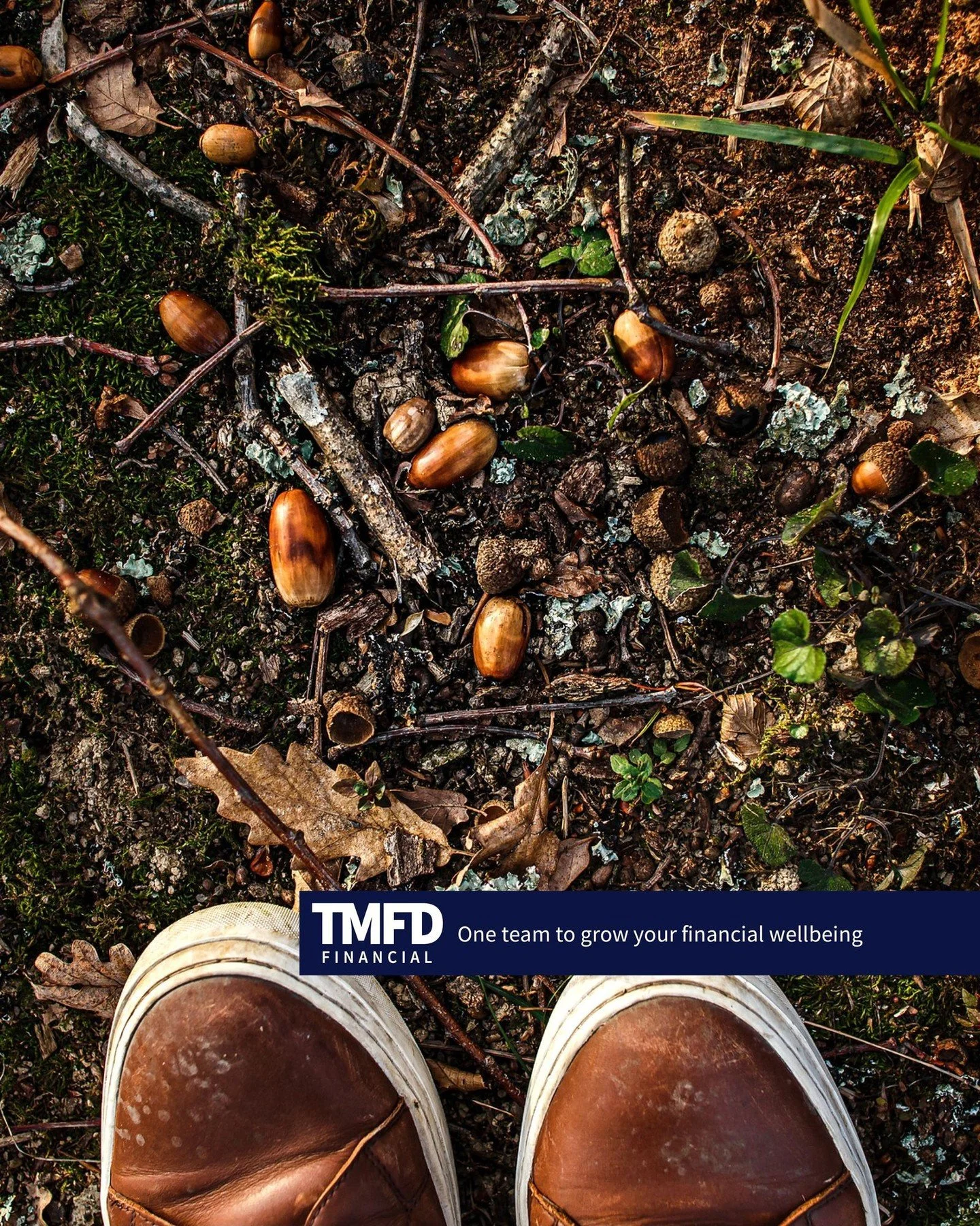 Every seed holds potential &mdash; it just needs the right conditions to grow. 🌰

At TMFD Financial, we help dentists nurture their practice at every stage &mdash; planting roots, branching out, or preparing for a confident sale.
.
.&middot;
&middot