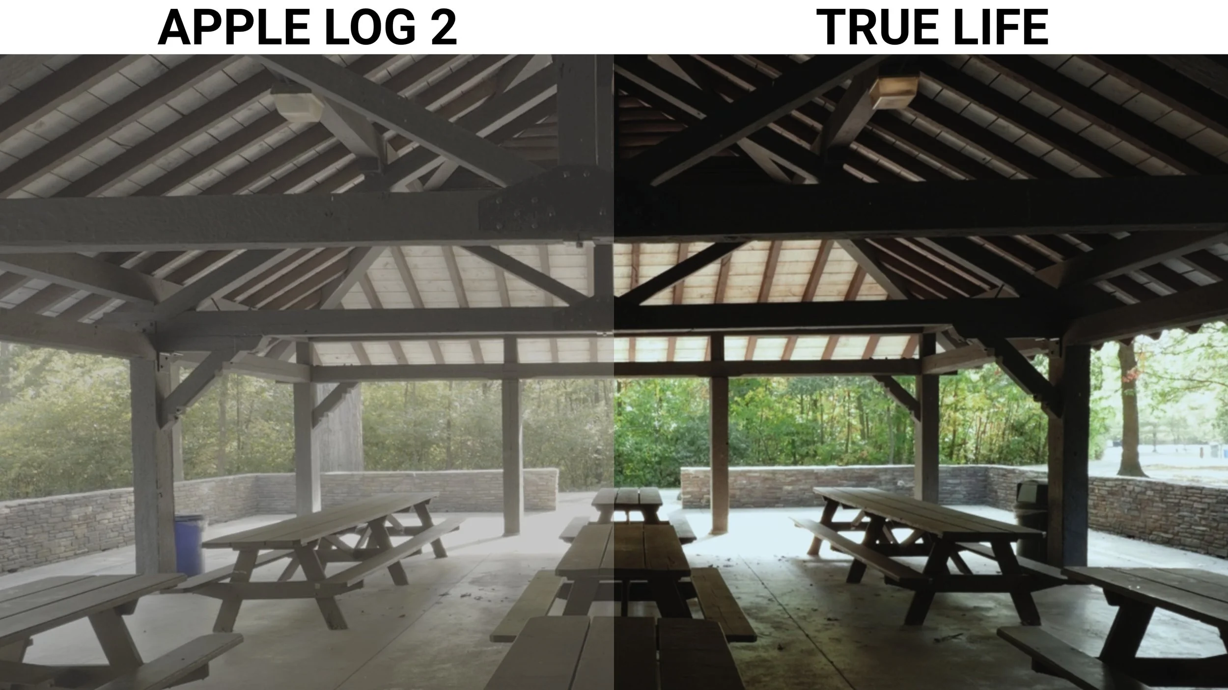 Sample 04.jpg