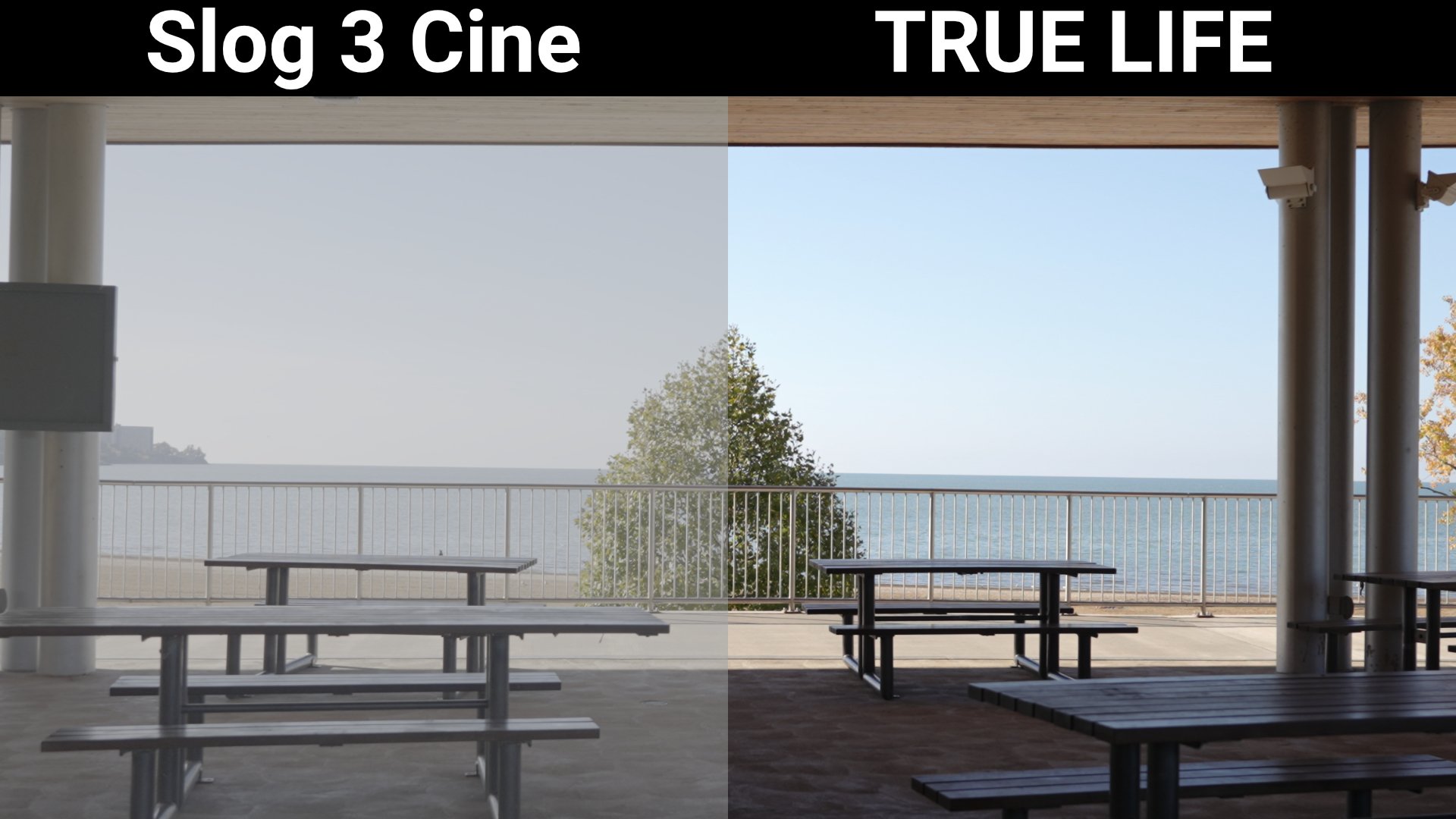 Slog3cine to True Life 1.jpg