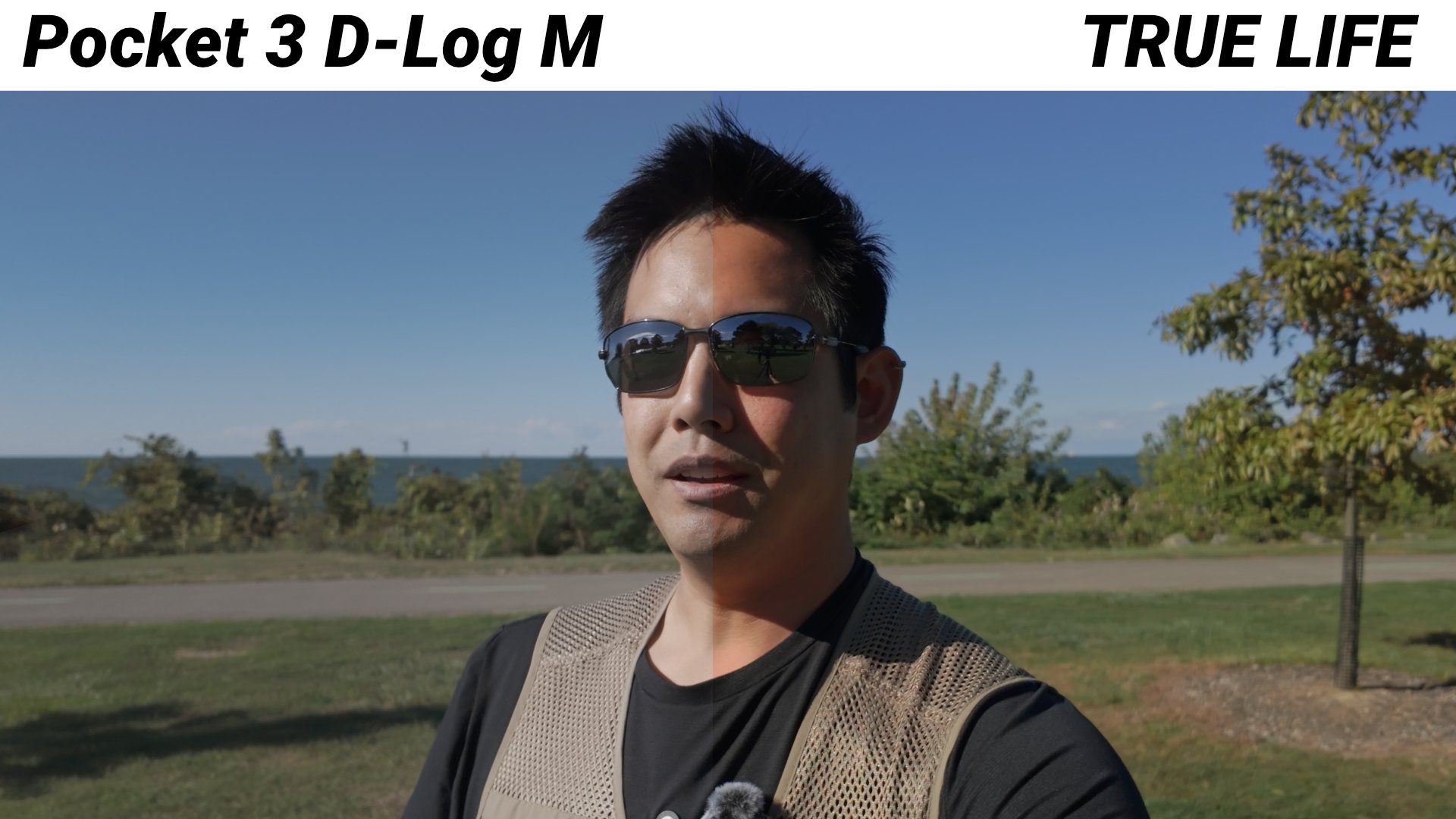 DlogM - True Life3.jpg