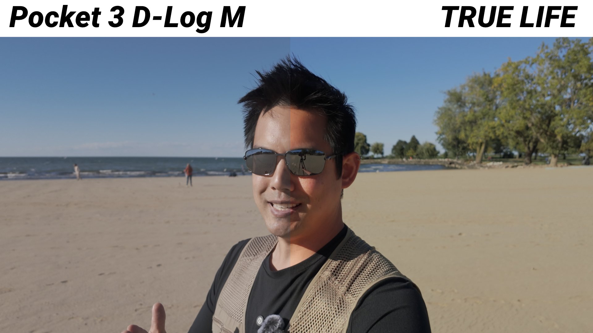 DlogM - True Life4.jpg