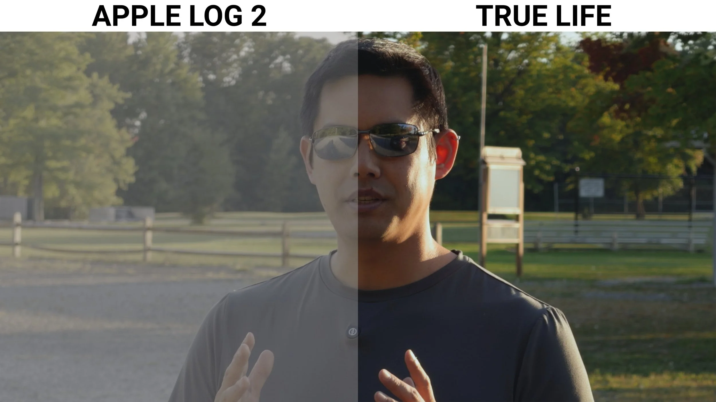 Sample 02.jpg
