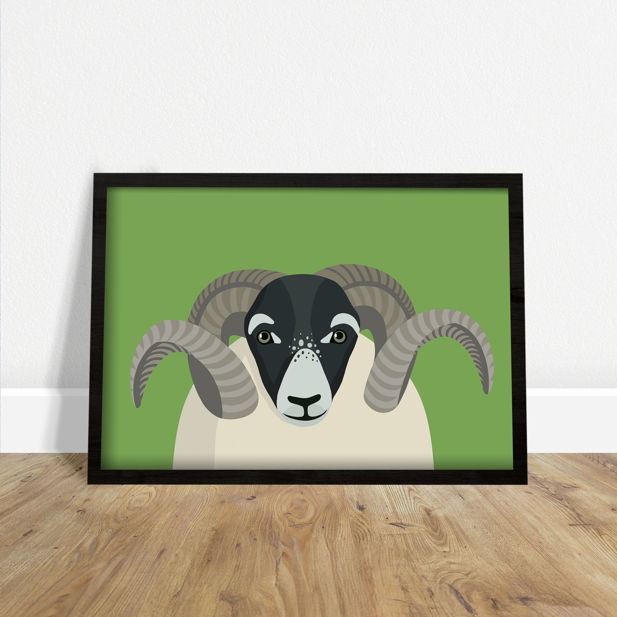Black Faced Sheep Print