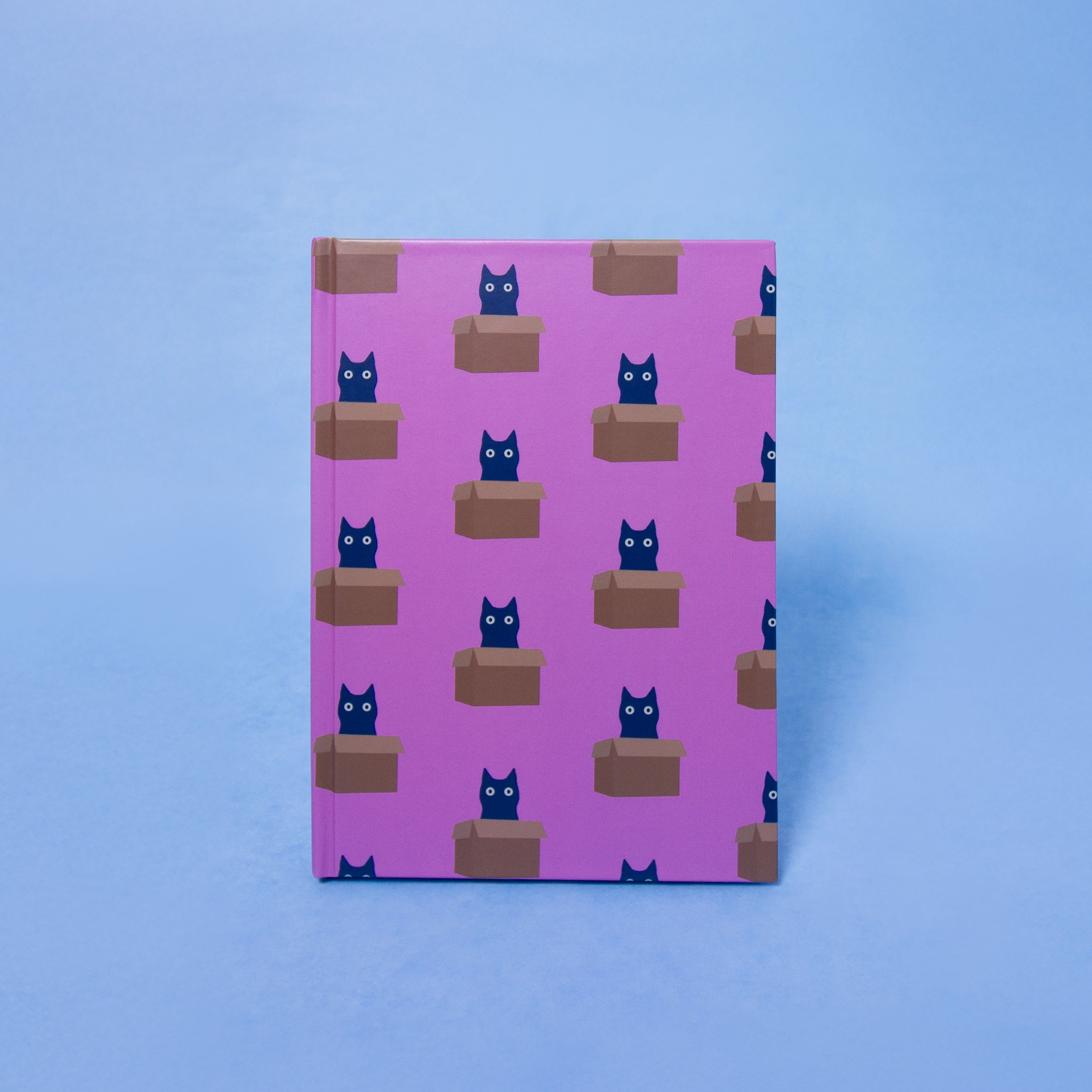 Cat in a Box Notebook