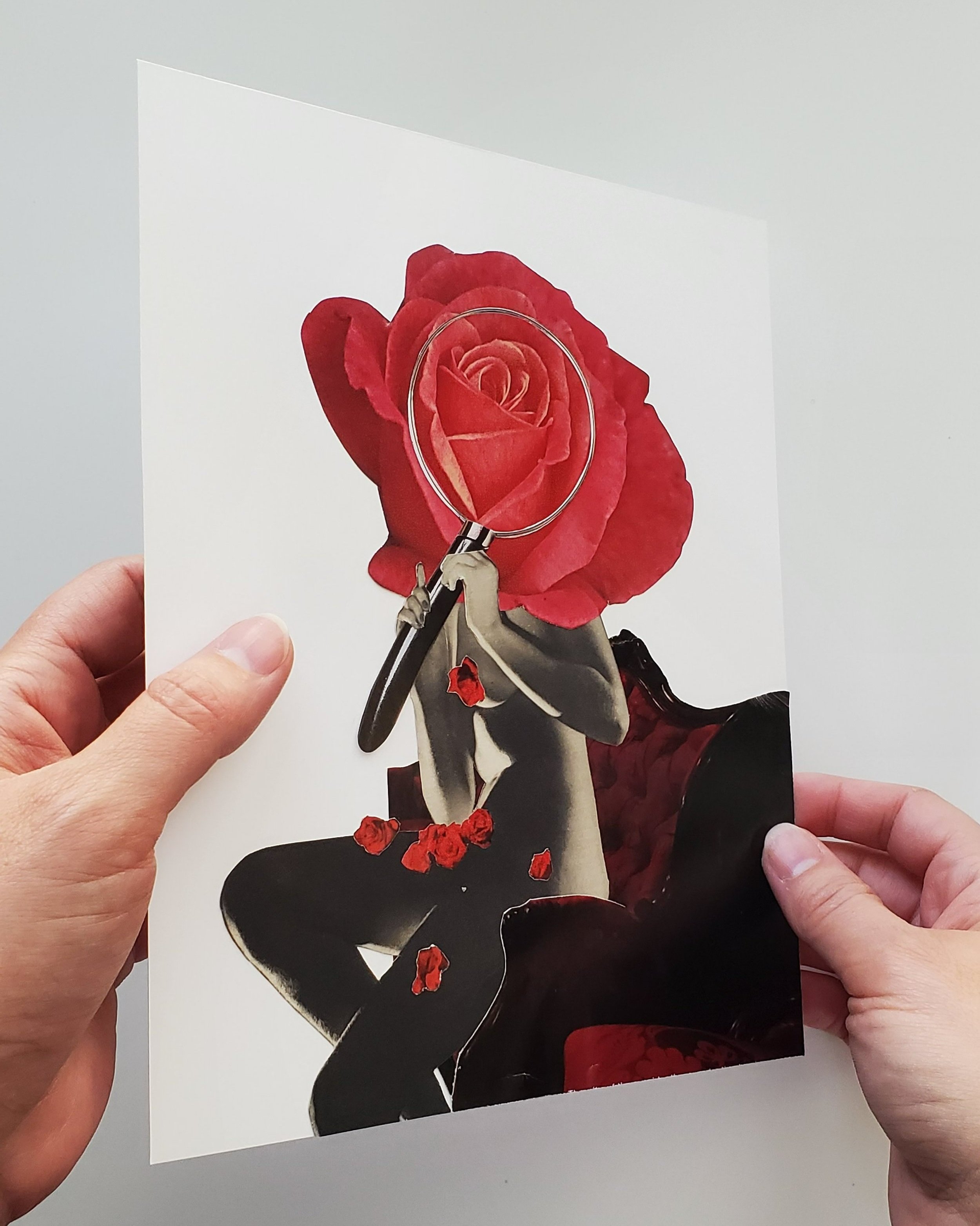 Why+Red+Roses+Detail+1.jpg