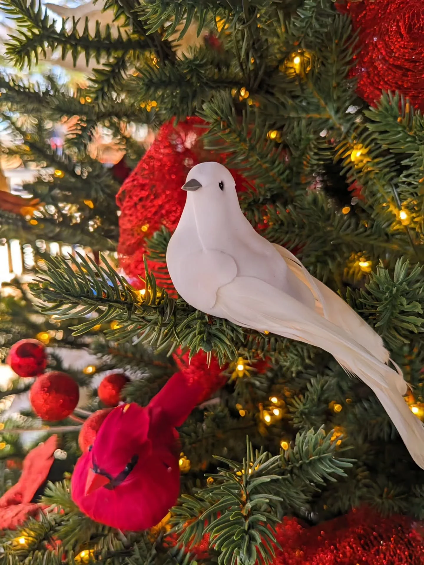 Thank you to our Secret Santa who sent us these lovely birds for our patio tree! Not only is this tree perfect for photo ops, but it pairs amazingly well with our Partridge in a Pear Tea ☕

#PTR #untraditional #NotYourMamasTeaRoom #DeckTheHalls