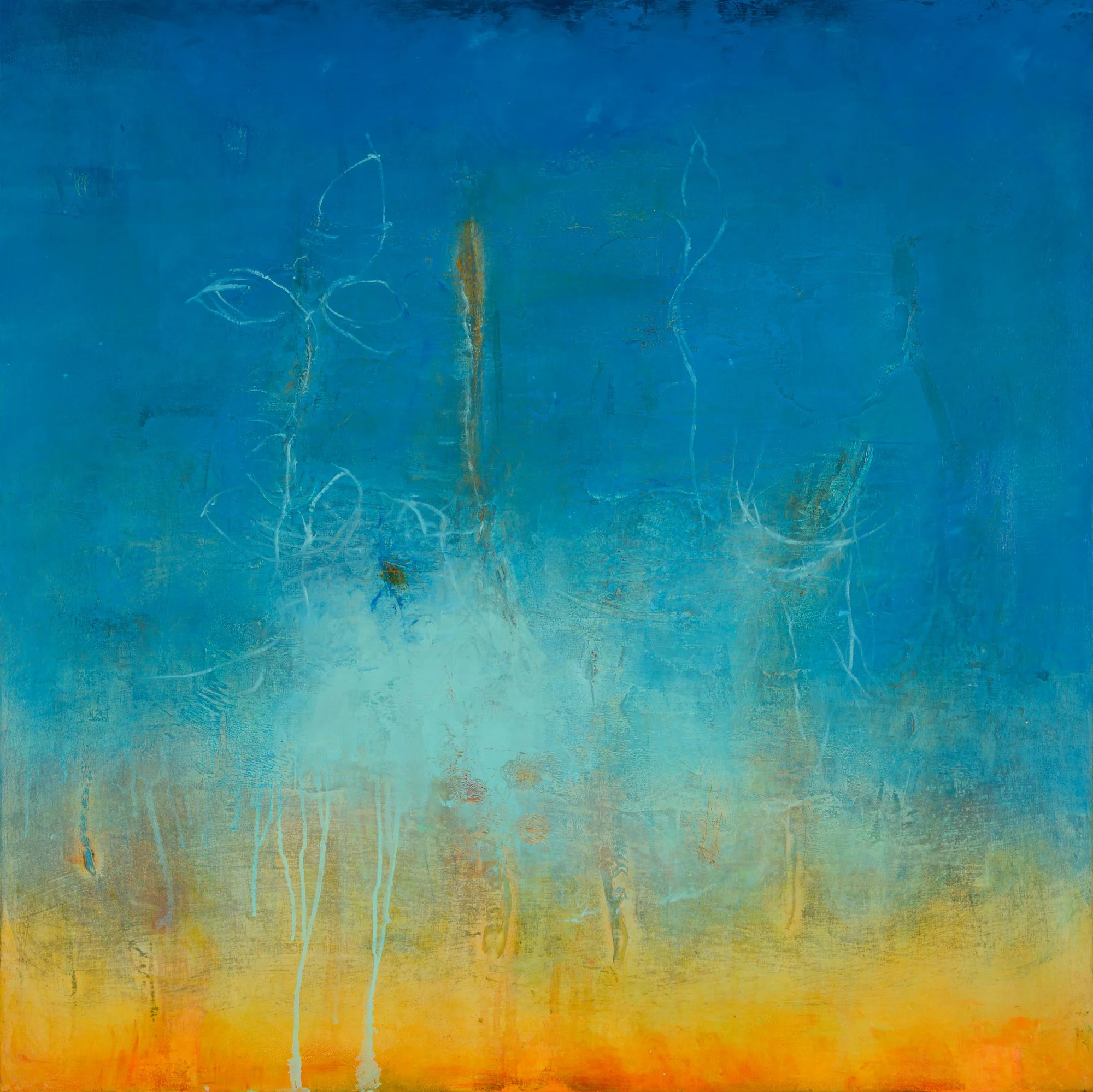 Robin Tedesco