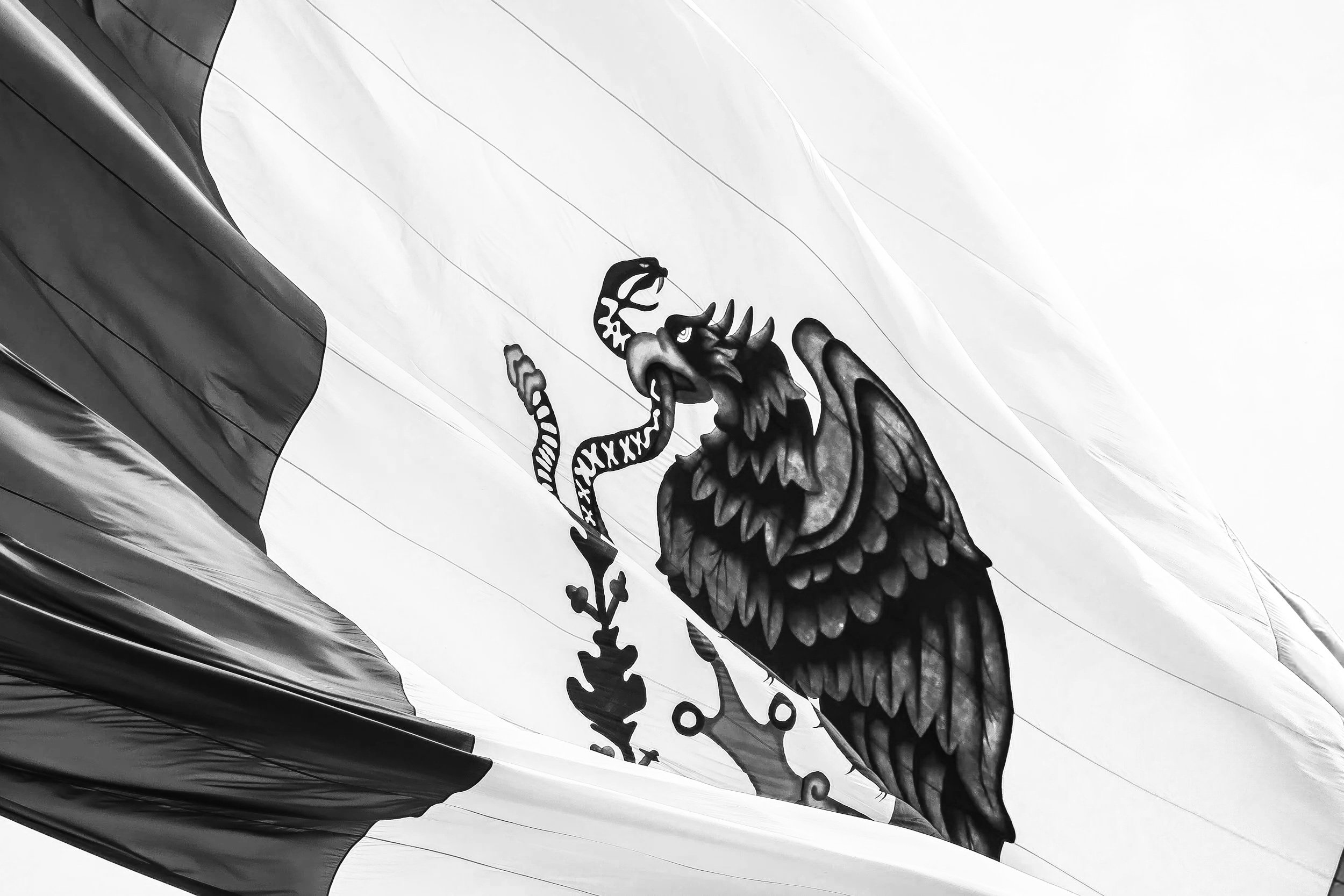 On This Day: Baby Arizmendi Claims Mexico's First World Boxing Title in 1935