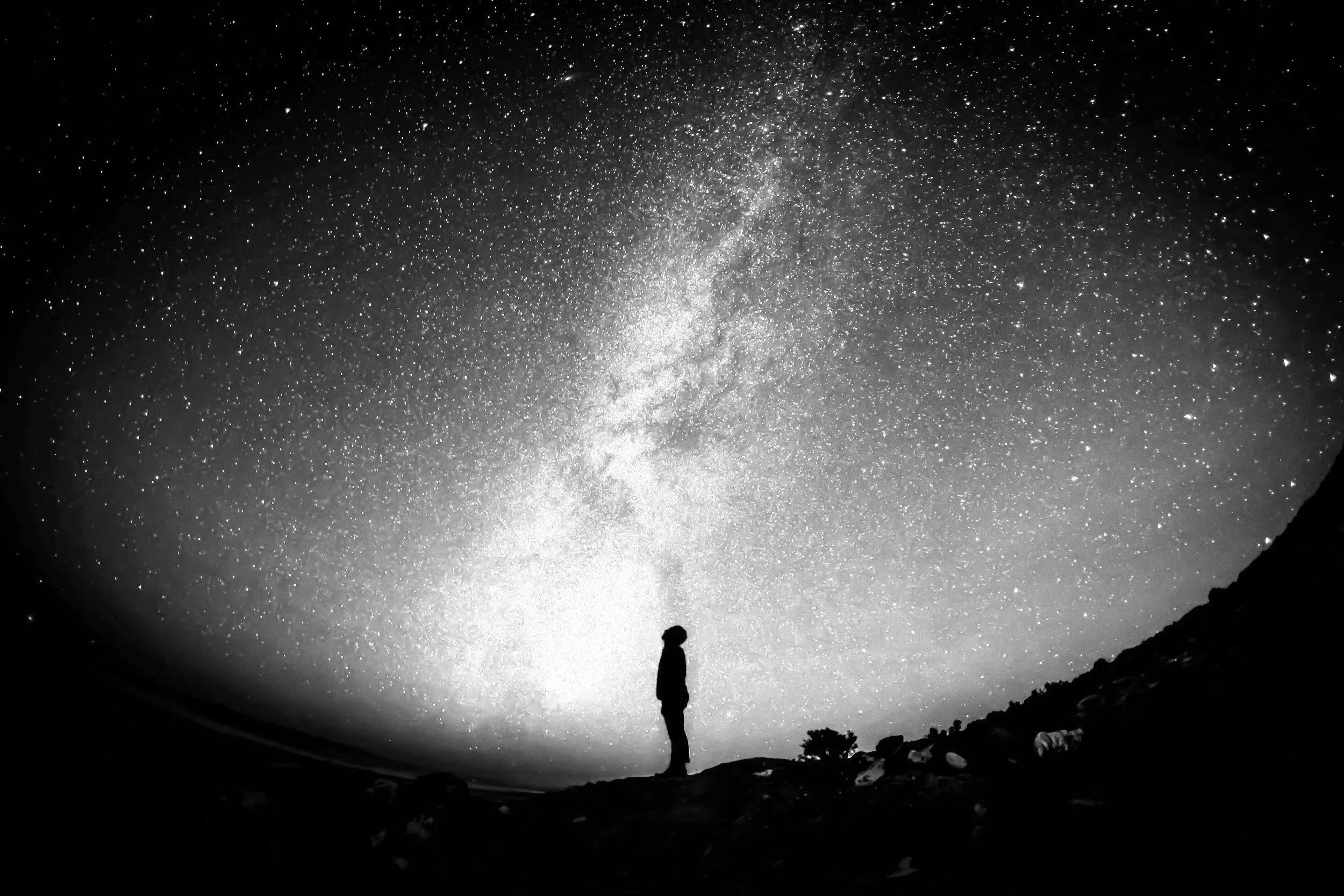 The Certification Paradox: Why Personal Training Treats Your Body Like a Machine and Your Crisis Like a Symptom