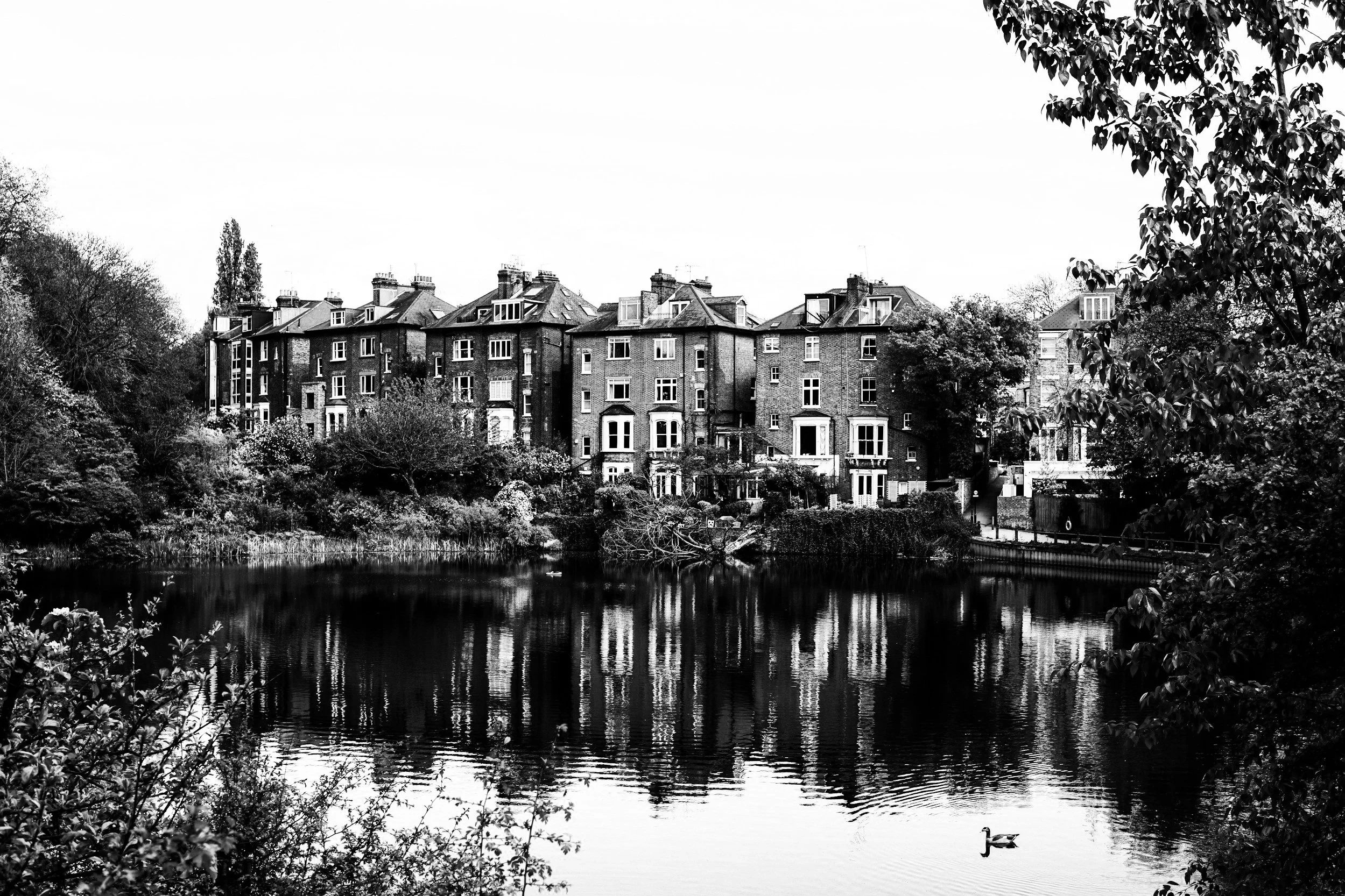 Fitness on Your Doorstep: Why Mobile Boxing is the Perfect Fit for Hampstead Life