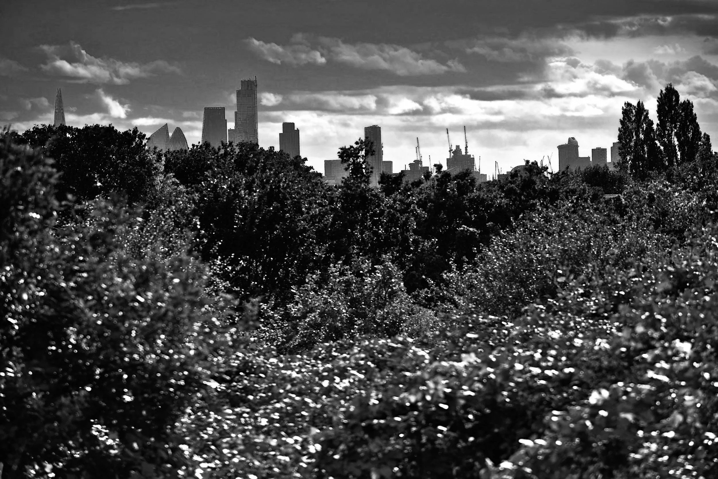 Why Your Living Room in E17 is the New Frontline for Fitness: The Walthamstow Boxing Advantage