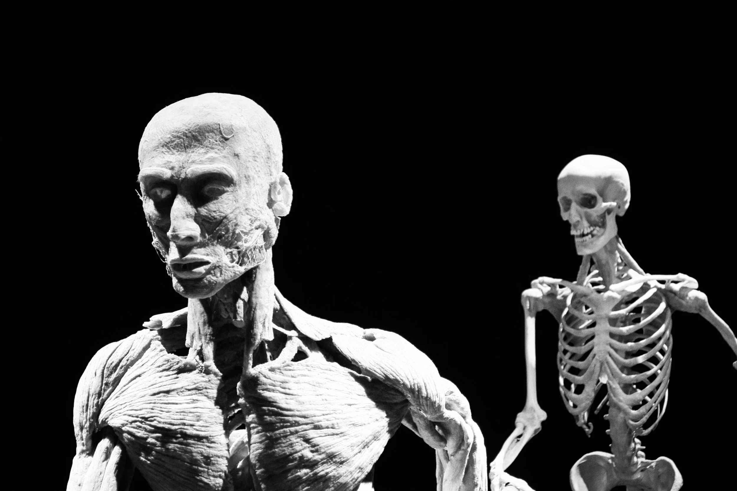 Why Exercise Physiology is the Primary Cause of Personal Training Failure