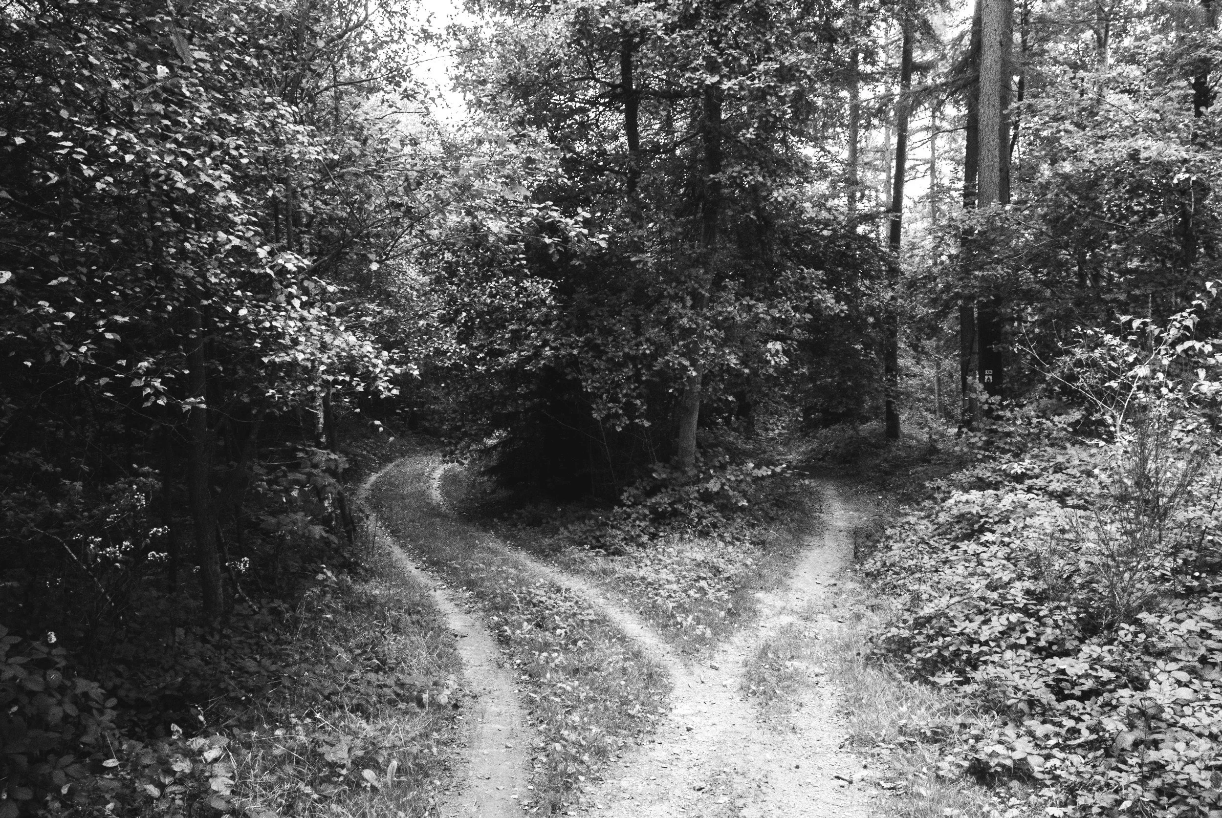 Stop Fighting Old Habits: Why You Should Focus on Building New Pathways