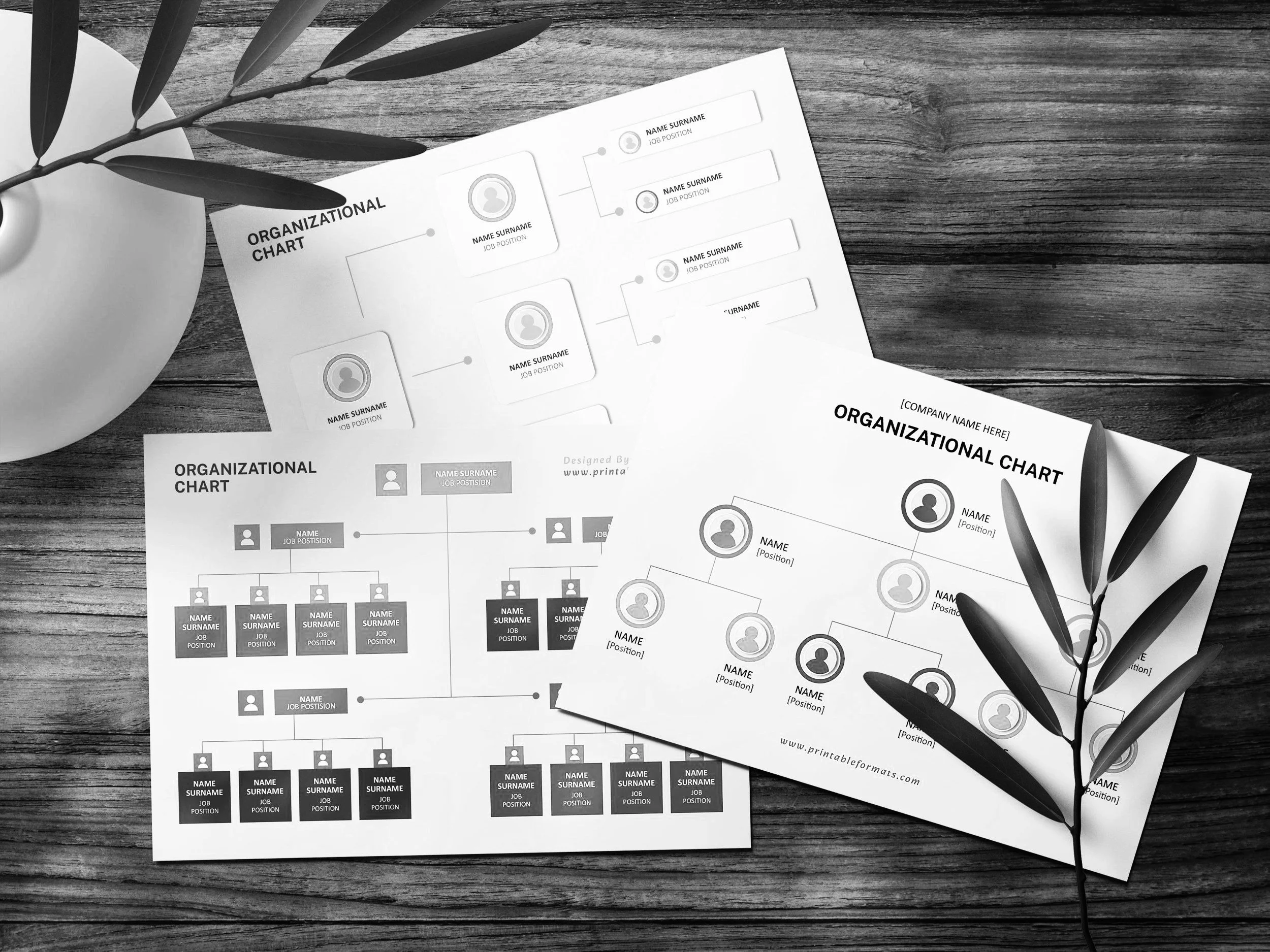 The Fitness Industry Hierarchy: Who Really Calls the Shots for Your Personal Trainer?