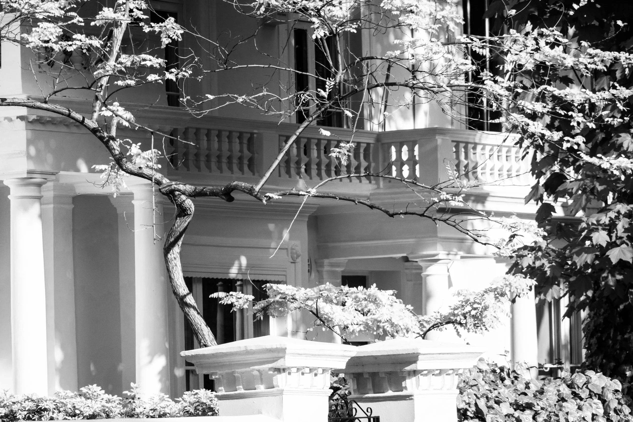 A Borough Analysis: The Pursuit of Elite Performance in Kensington and Chelsea