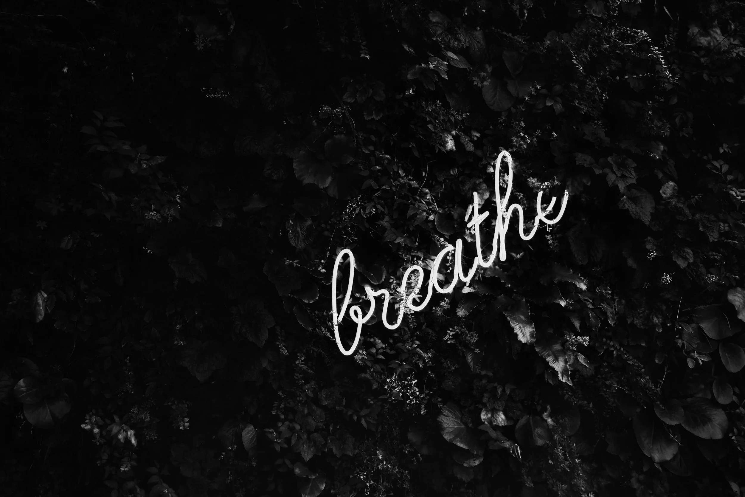 Why Beginners Gas Out: The Breathing Mistakes That Ruin Boxers