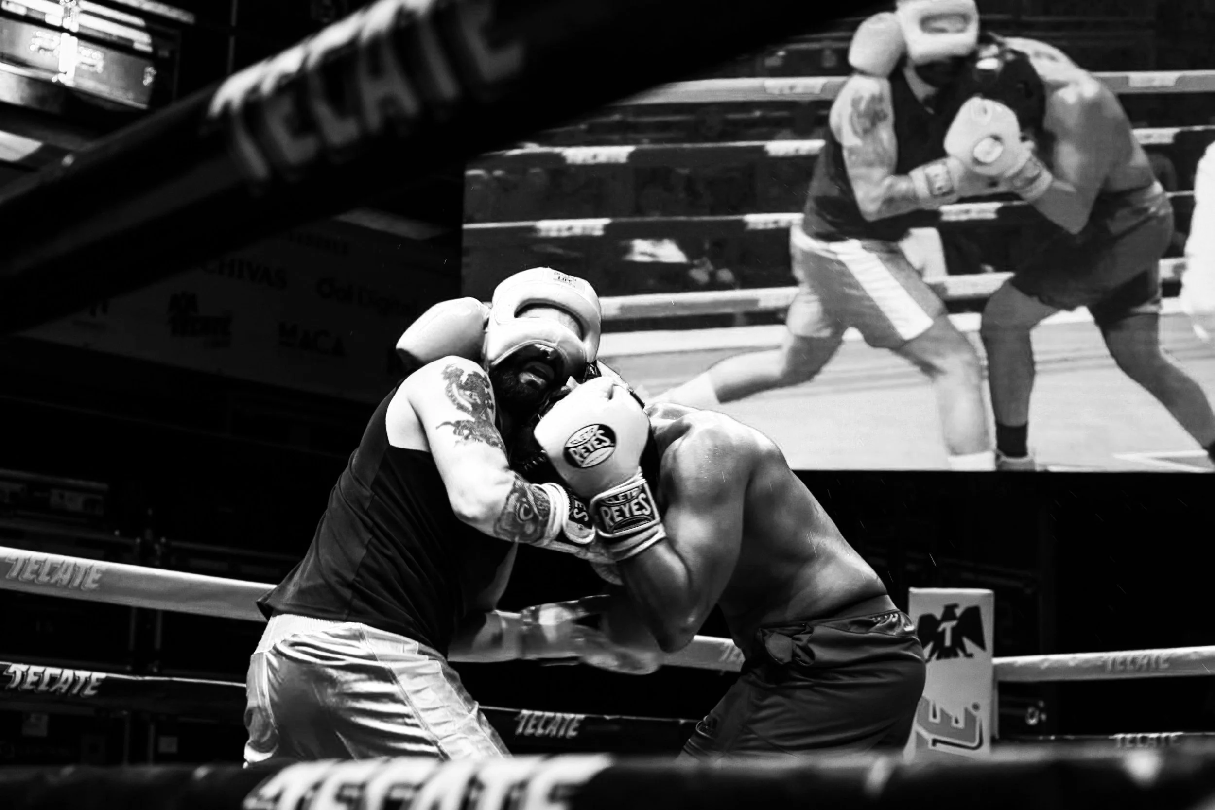 Online Boxing: The Ultimate Guide to Training, Watching, and Mastering the Sport