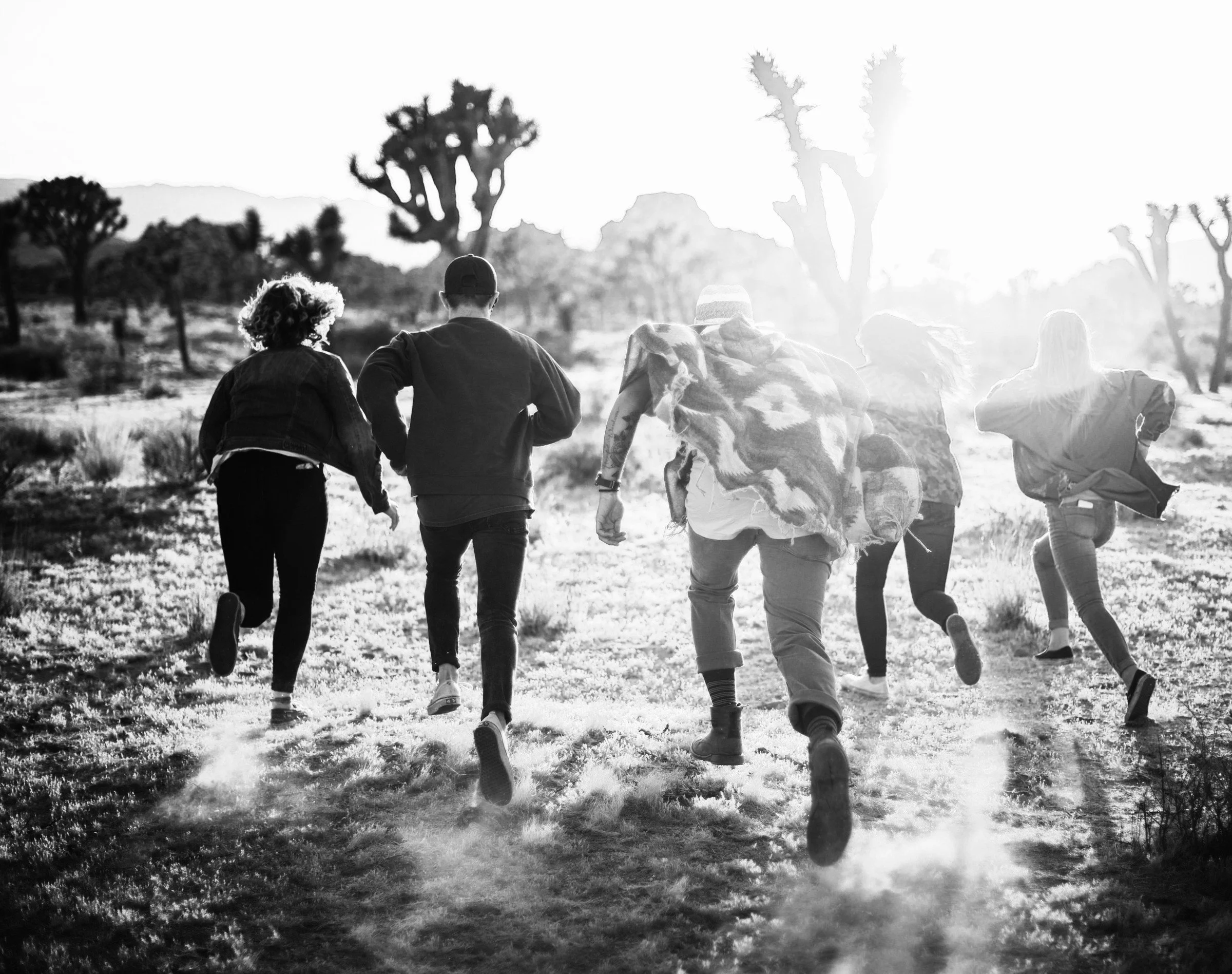 The Architecture of Action: A New Way to Map Human Movement