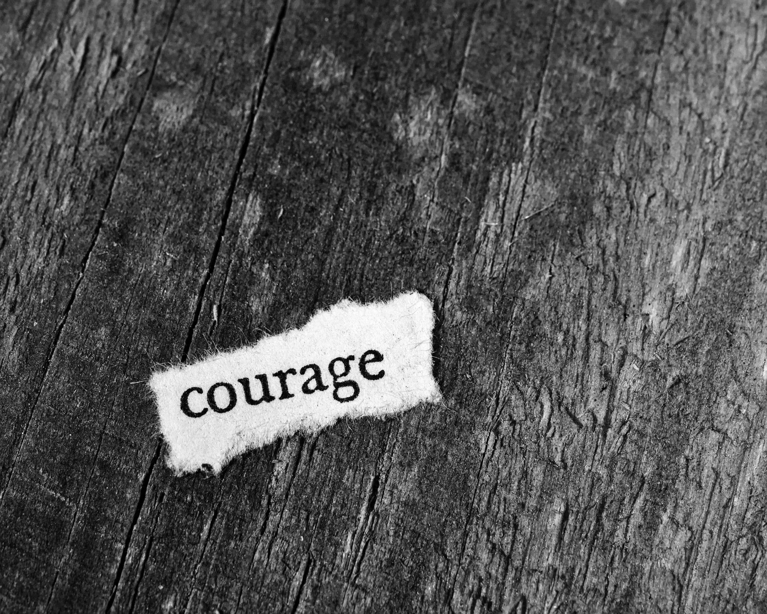 The "No-Sparring" Fallacy: Why You Can't Borrow a Fighter’s Mindset