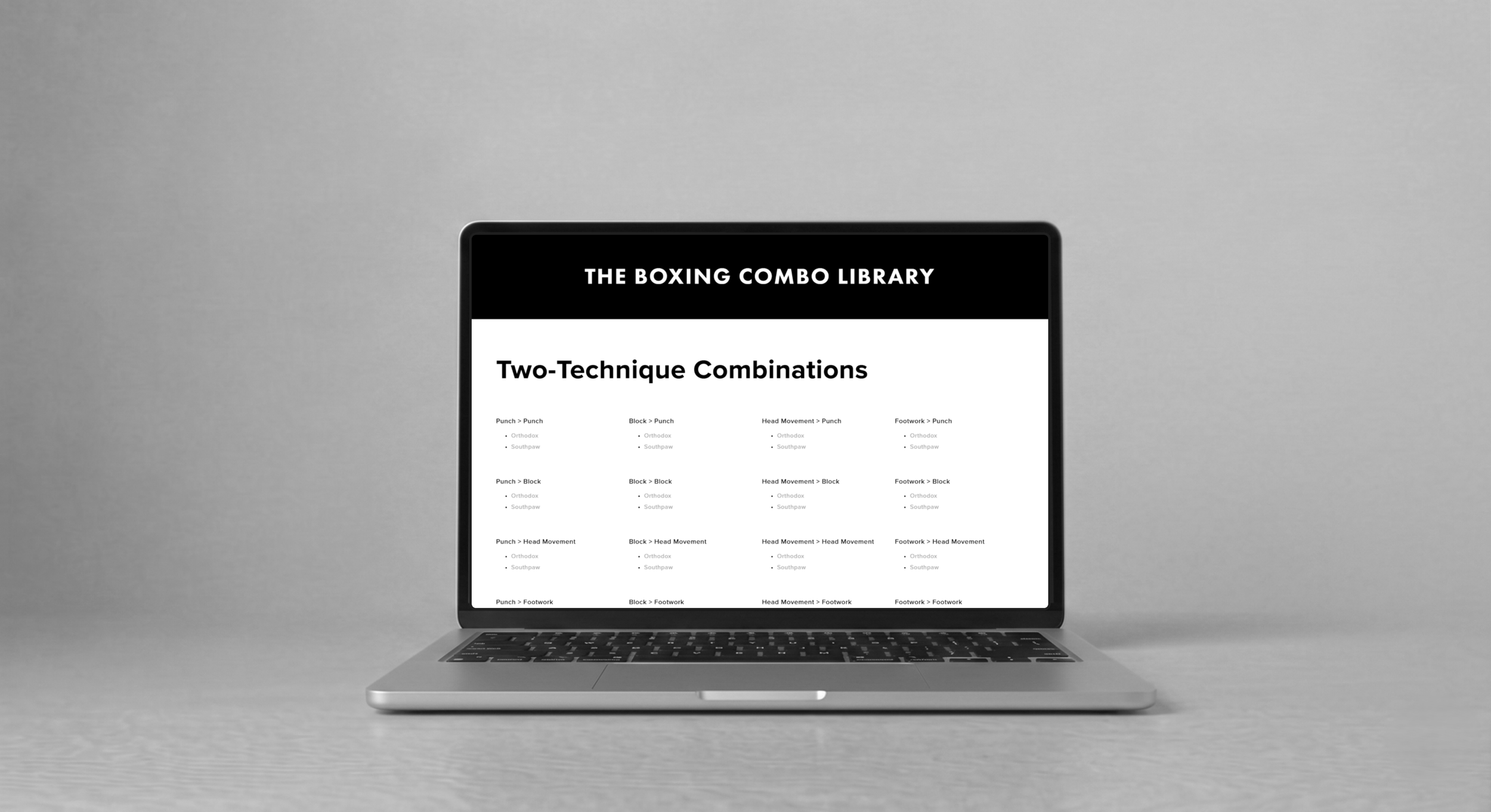 Online Boxing Combo Library | Mr Deniz Ates