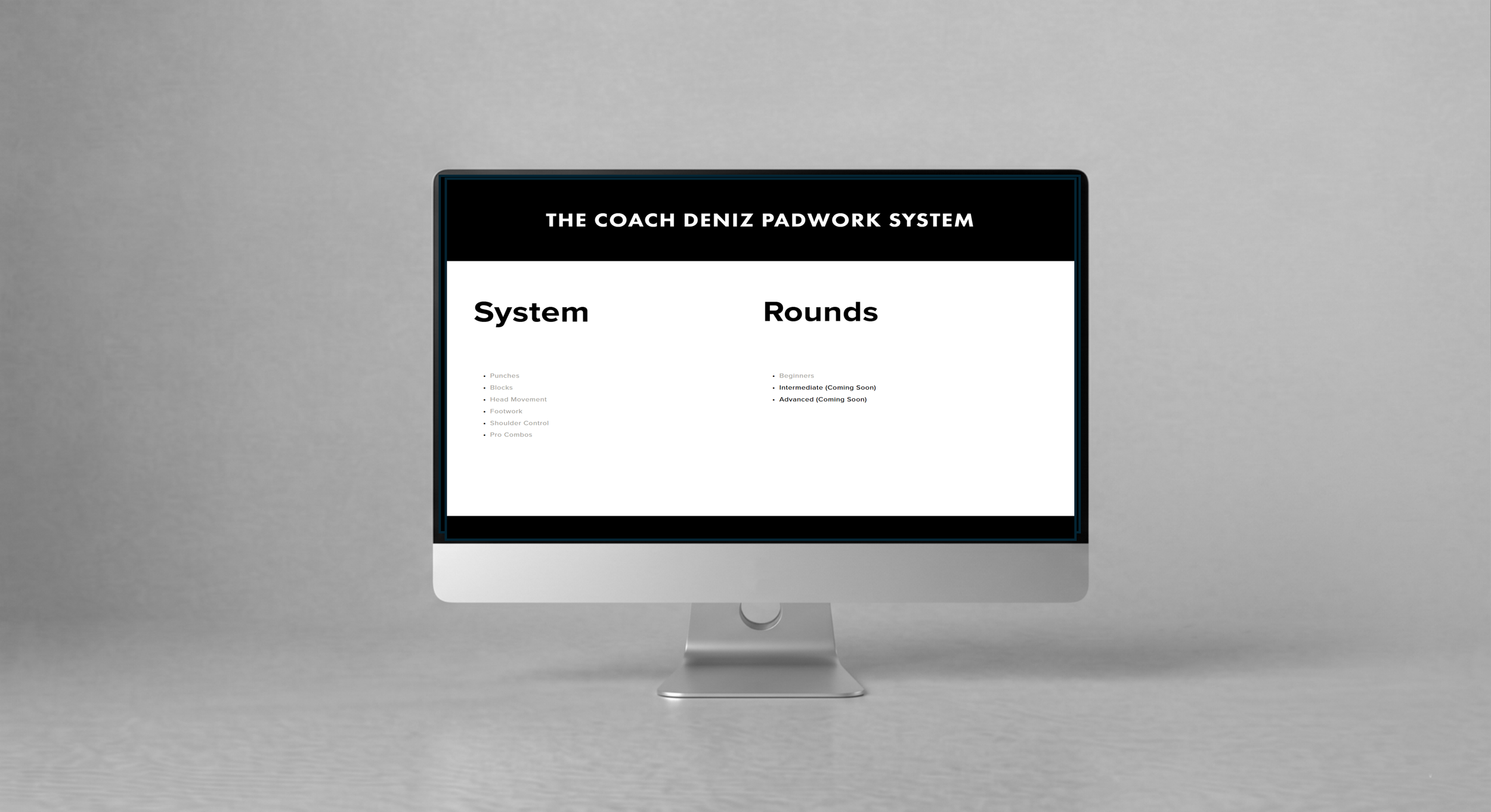 Coach Deniz Online Boxing System