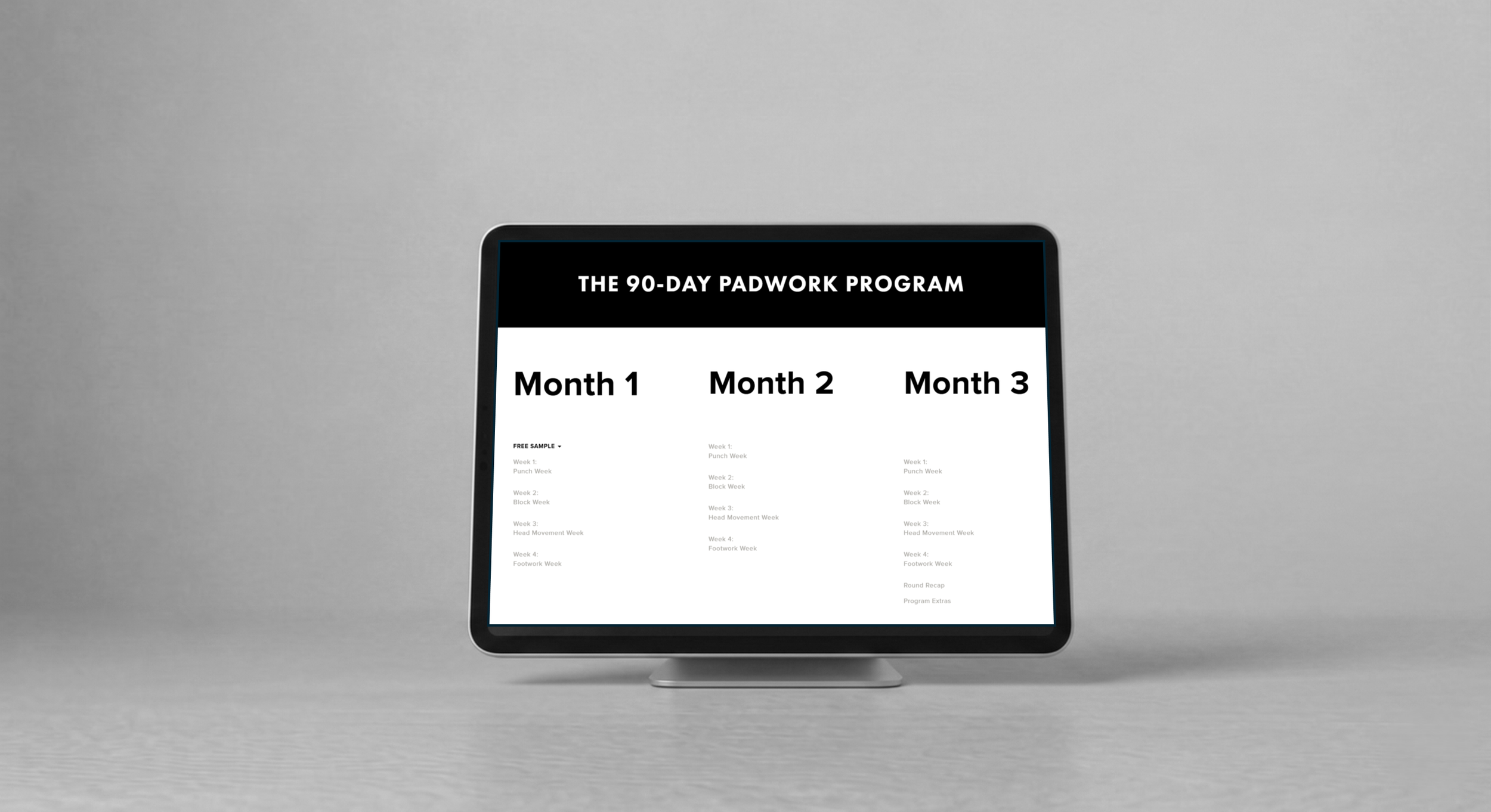 Online Boxing 90-Day Program | Mr Deniz Ates