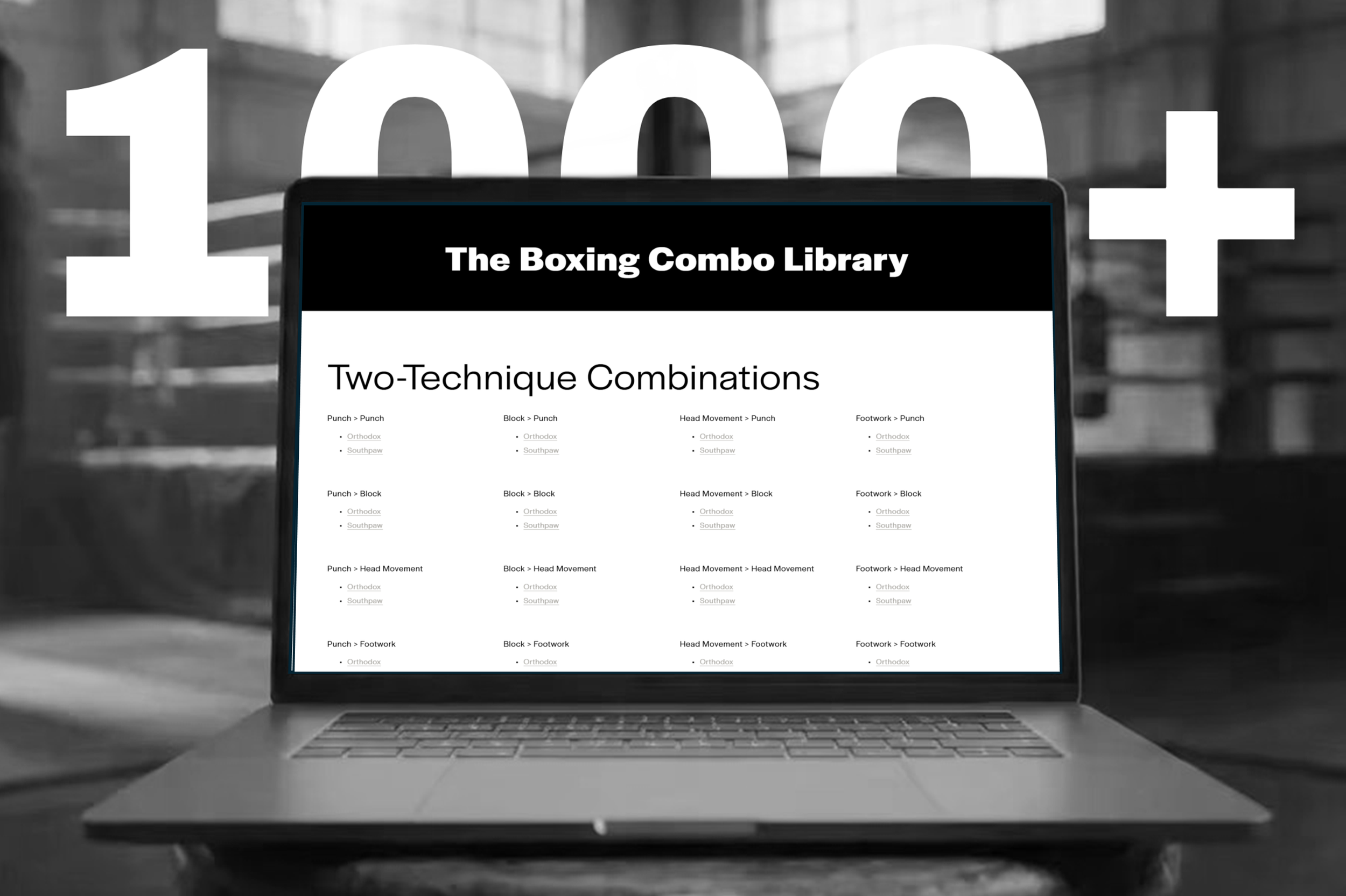 Boxing Combo Library | Online Boxing | Mr Deniz Ates