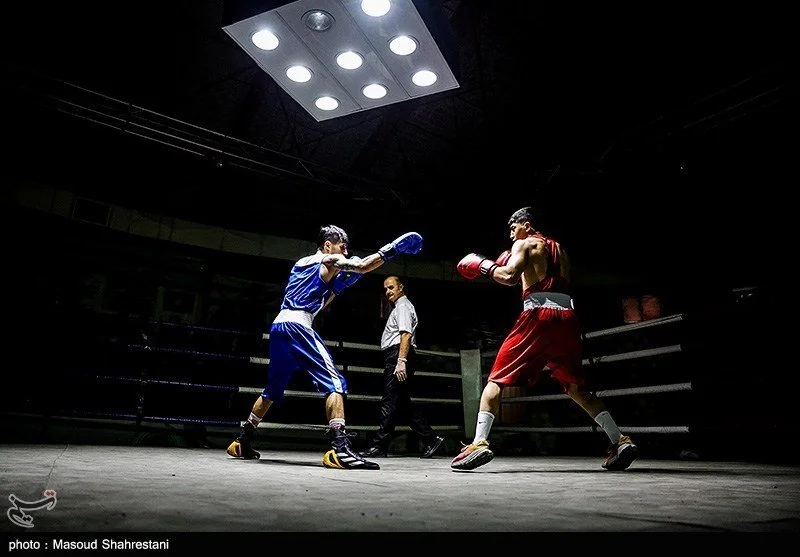 Boxers Orthodox vs Southpaw | Online Boxing Education